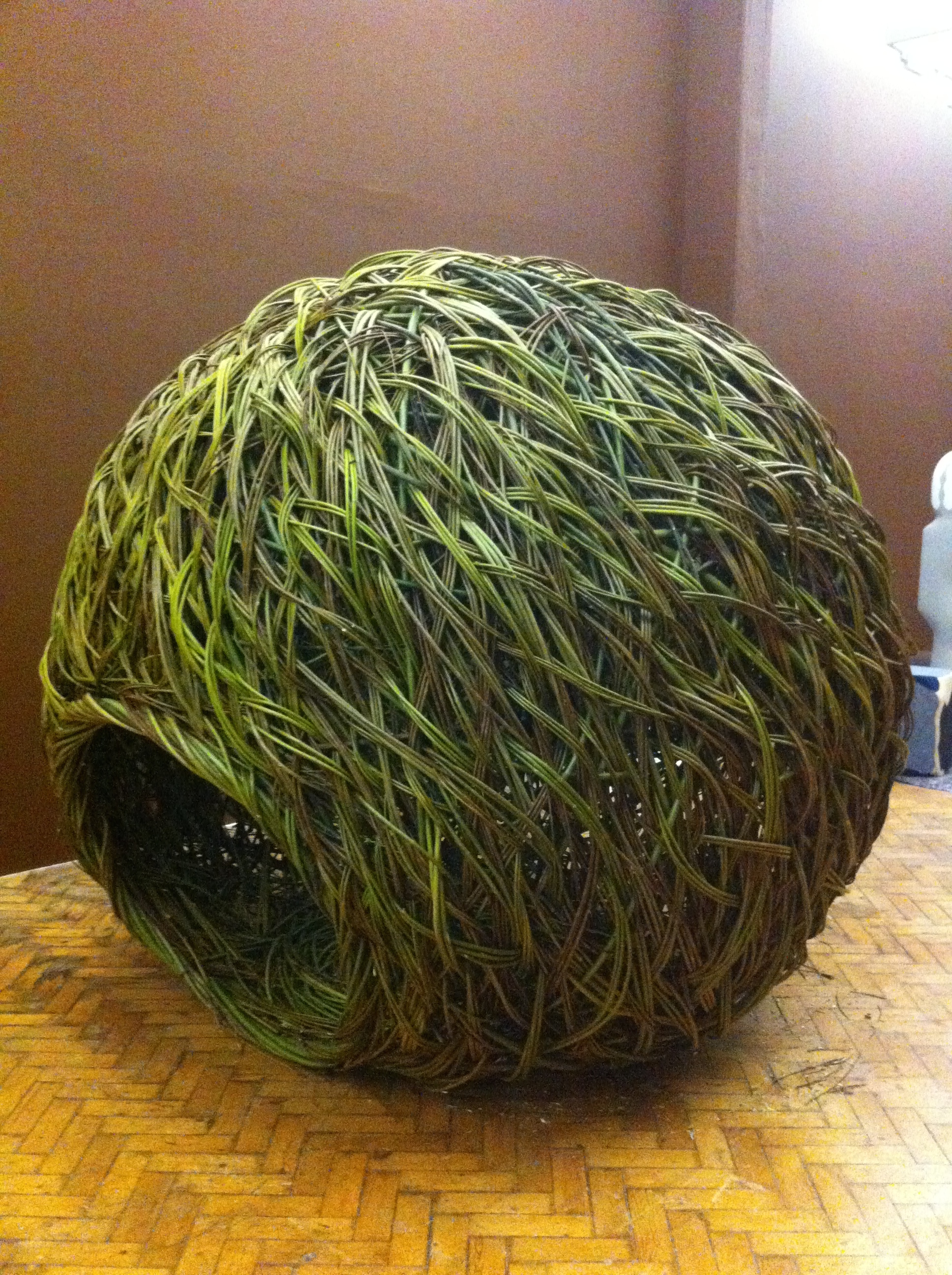 Some of Mel's willow sculpture.