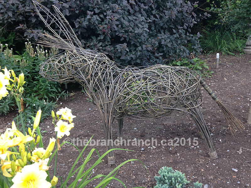 We made this willow donkey sculpture for The Blue Jeans and Black Tie Kick Ass Auction, a fundraisers for Primrose Donkey Sanctuary held on Friday, October 17th at the Warkworth Townhall.