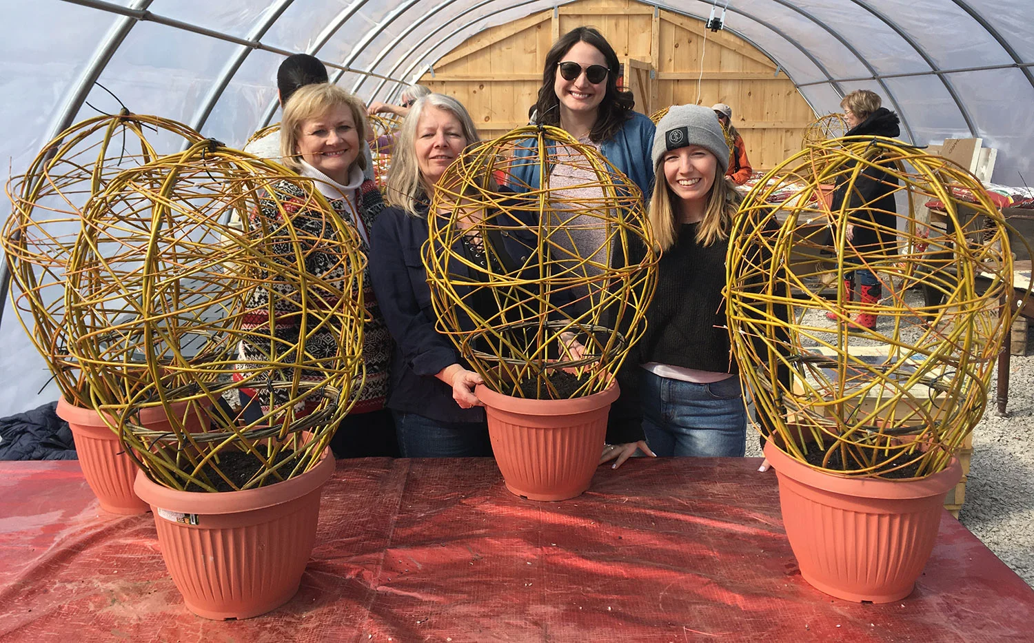 Living Willow Spheres