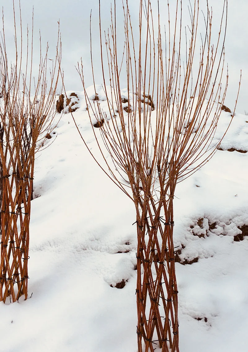 snow3.jpg