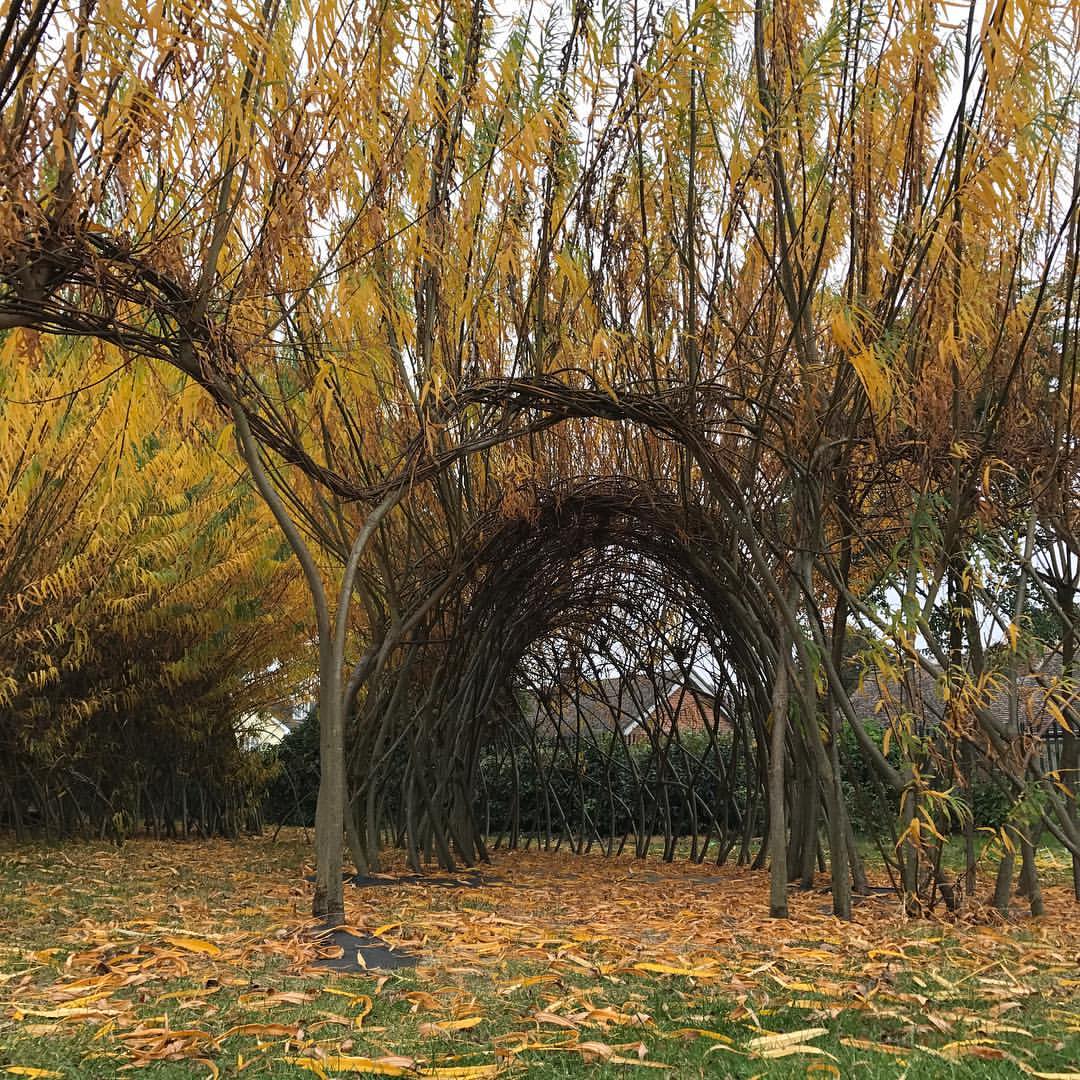 Outdoor classroom at Burbage Infant School, Hinckley, UK. photo courtesy spencer jenkins