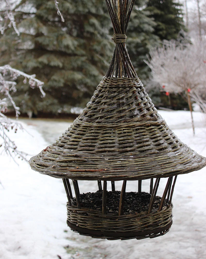 birdfeeder-winter.jpg