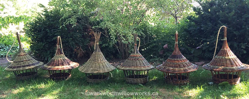 bird-feeders.jpg