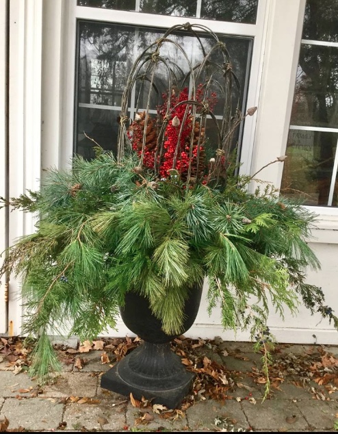 Bev uses her peony crowns in her garden in summer and then transforms them into stunning urn arrangements for winter.
