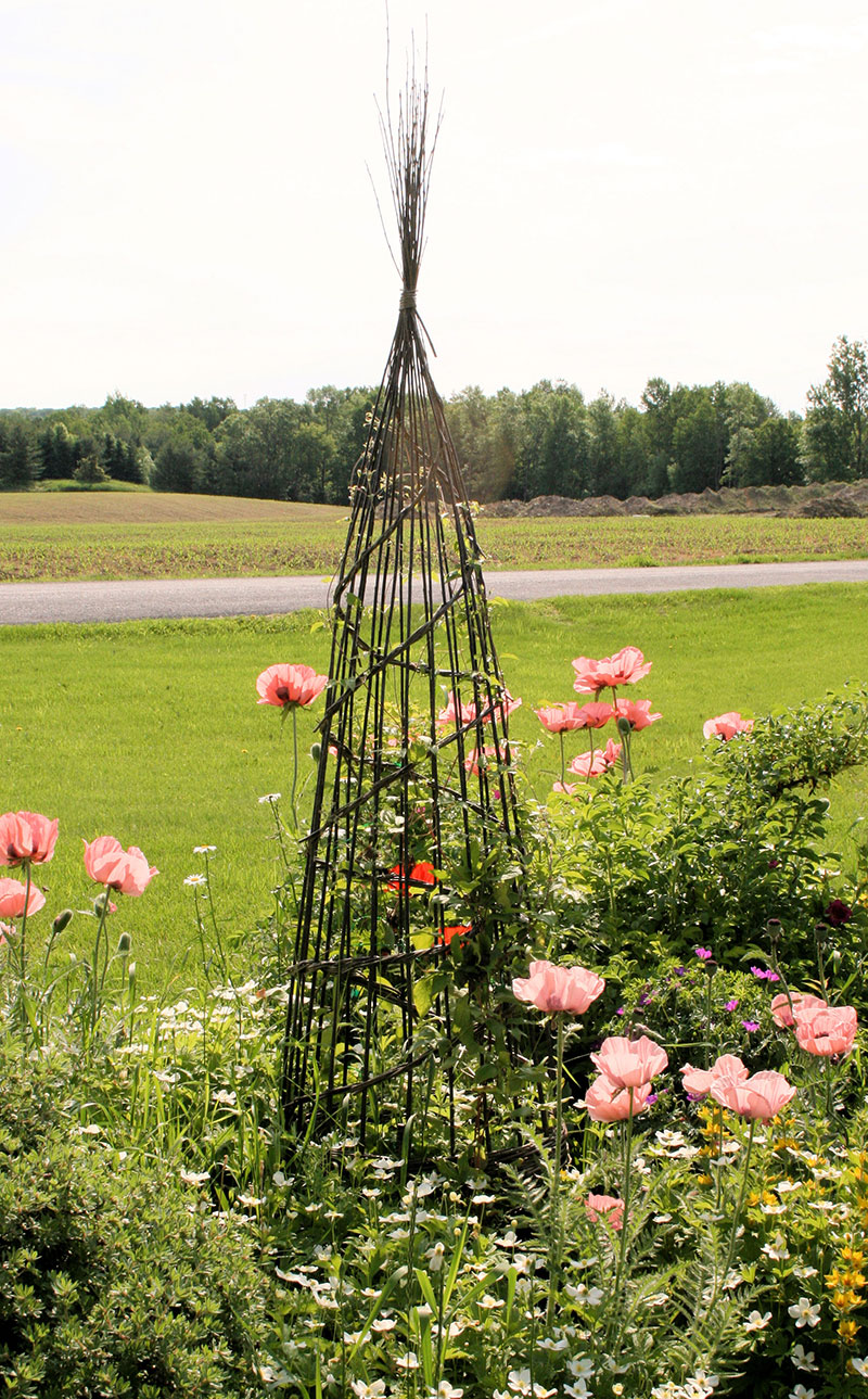 Rose’s Large Obelisk looks fantastic in her idyllic garden..
