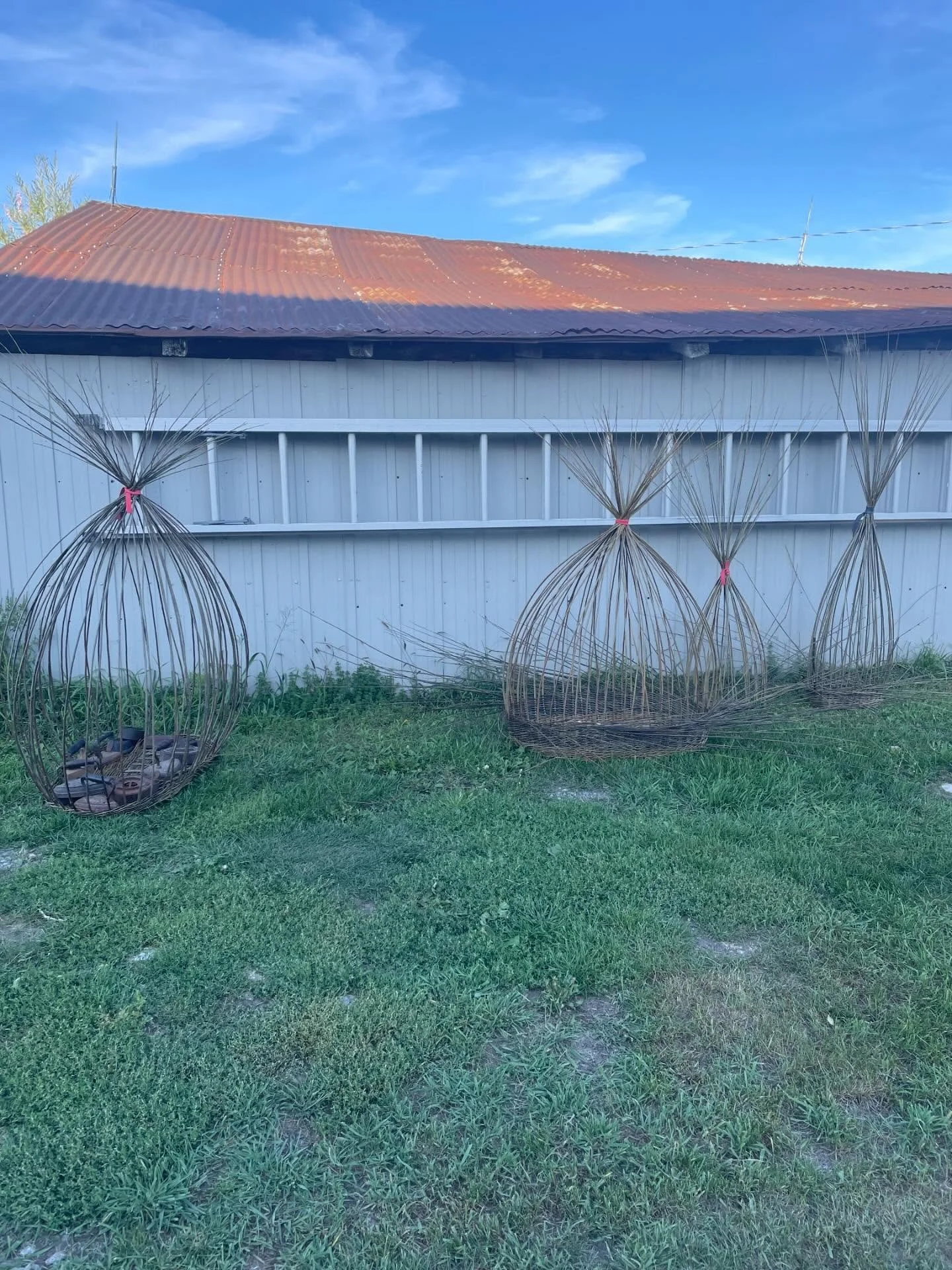 Happiness is afternoon baskets and morning baskets adorned with dew and the anticipation of another day weaving with friends! I&rsquo;ve been so excited for this week! #weavingwithfriends #basketmakers #willow #weaving #willowbaskets #basketrywillow 