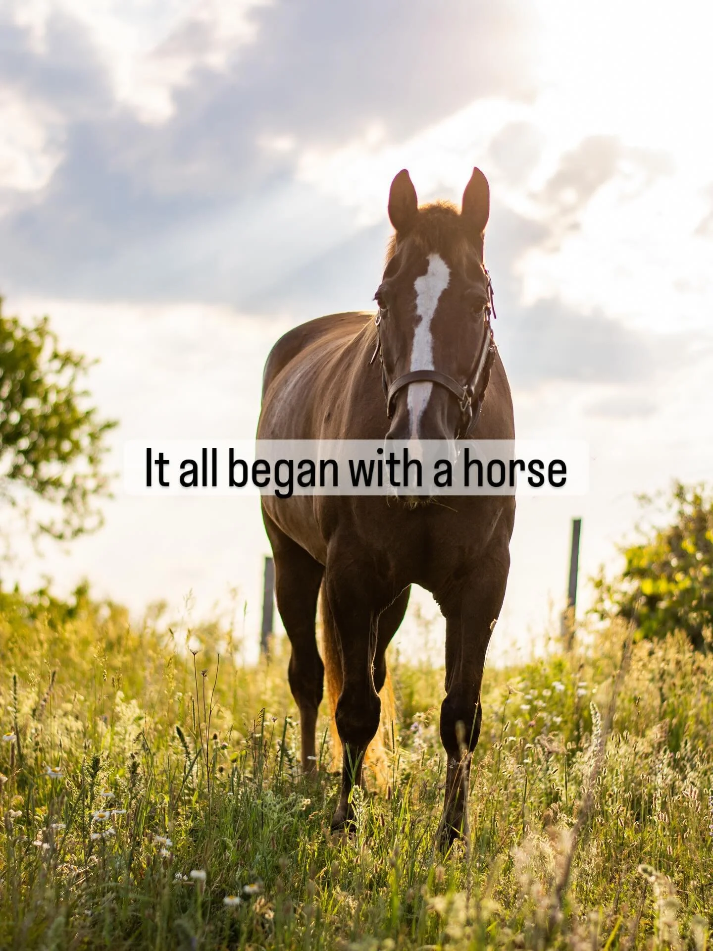 Who knew a hose and a couple of living willow projects would lead to THIS?! 
One giant leap of faith later, and now I get to share willow magic with so many amazing people!
Grateful, humbled, and still pinching myself 🌿 #leapoffaith #willowbusiness 