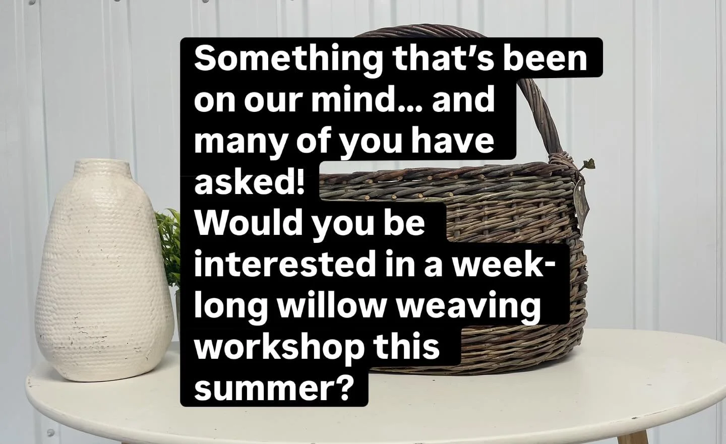 We need to work out the finer details but the basics are: a week of weaving for beginner and intermediate weavers, we plan ahead and tailor it to the skills you want to work on, you have opportunities to ask your questions and you leave with a couple