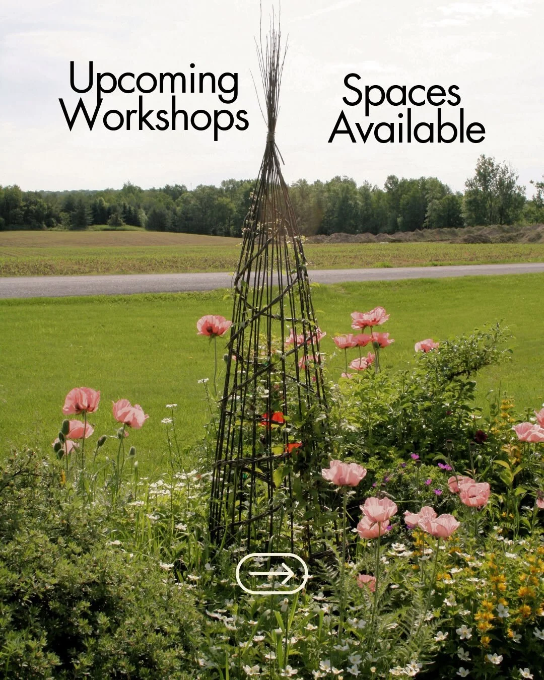 We have a few workshops with spaces available! Are you ready to prepare for gardening season, our plant support workshops remind us that spring is in fact on the way! See you soon! #willowplantsupport #willowgardenornaments #weavewillow