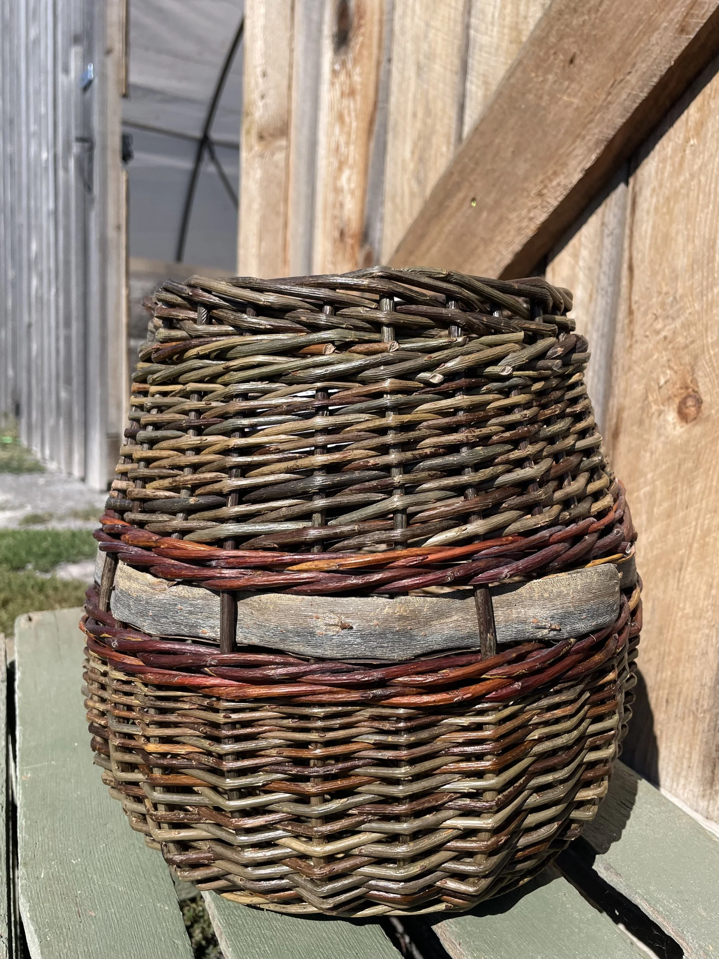 small bark b 3.jpg