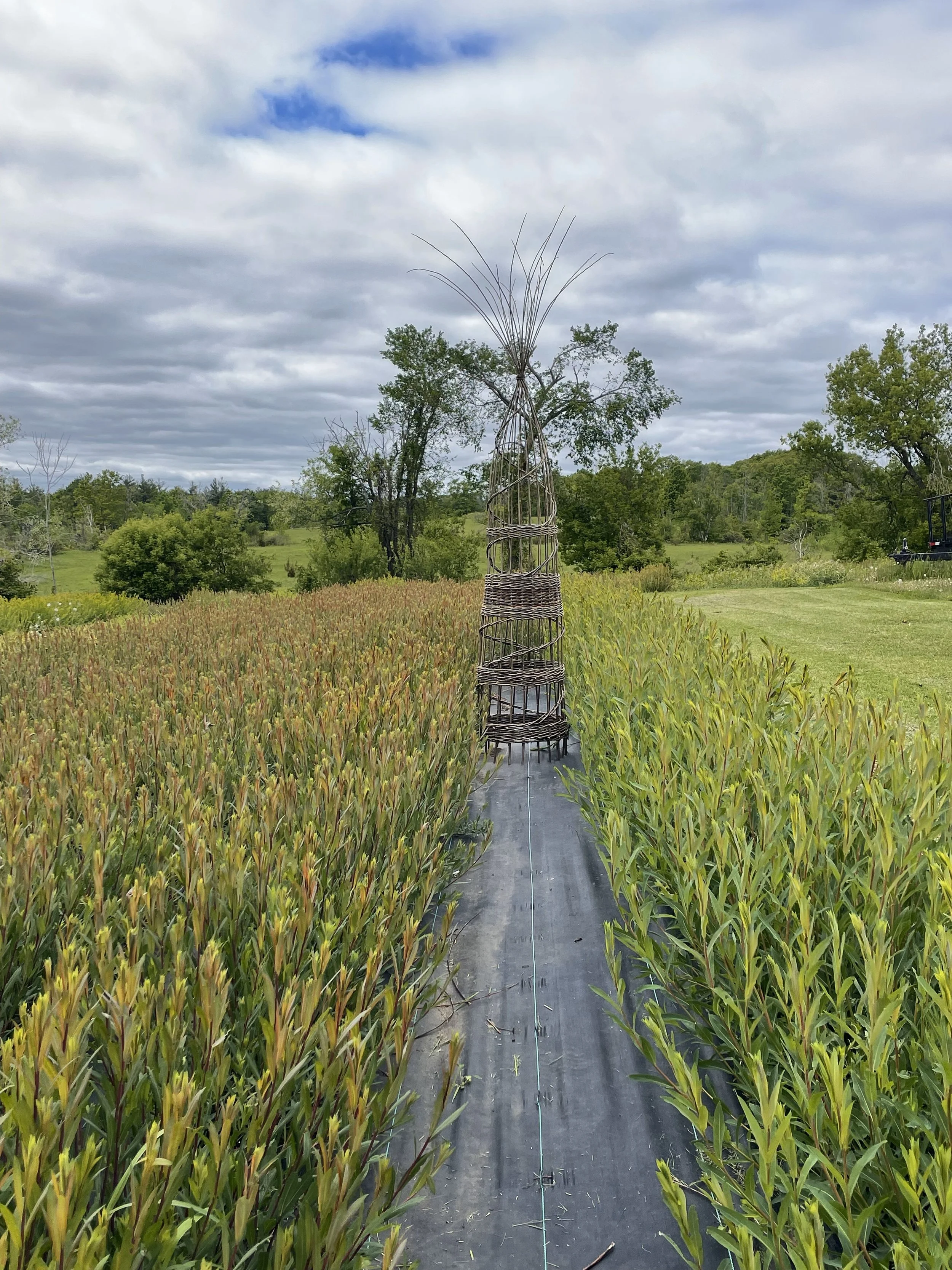 Large Willow Art Obelisk