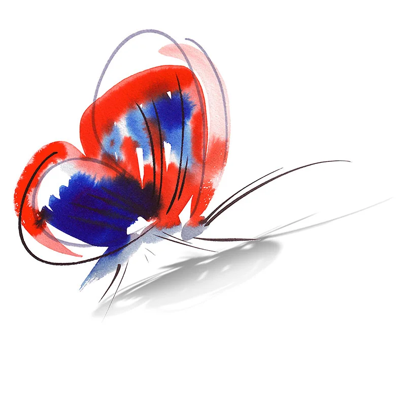 Schmetterling.jpg