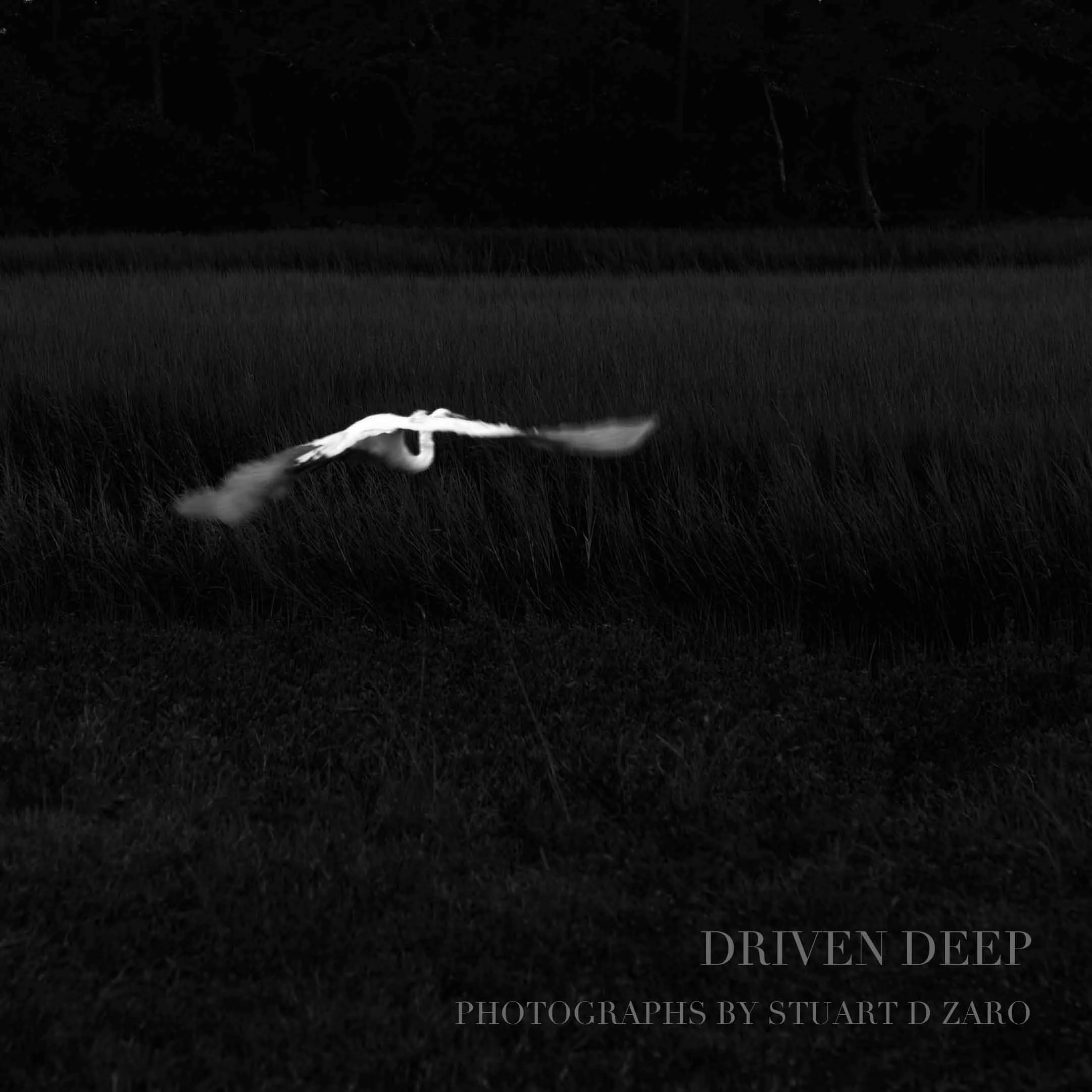 Driven Deep Book Cover.jpg