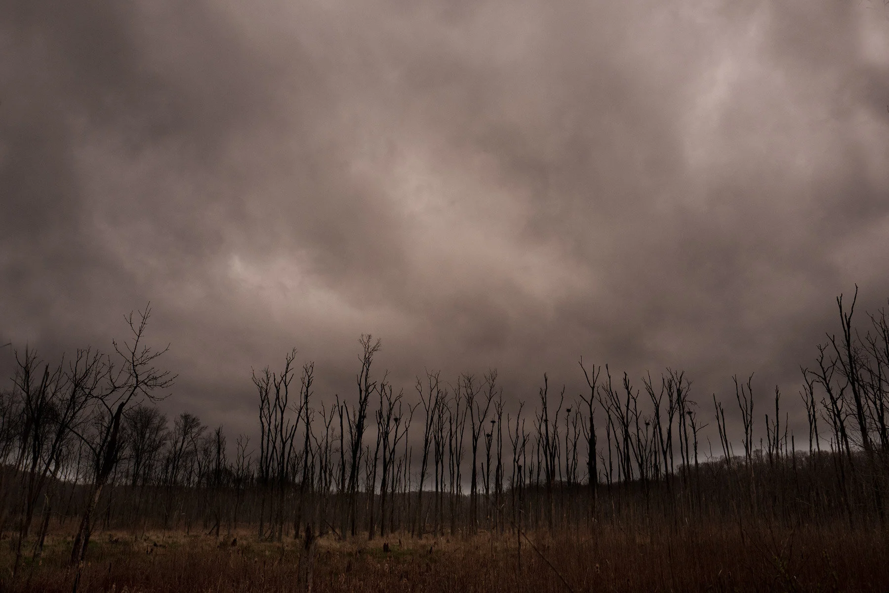 200430_lone_55-Edit.jpg