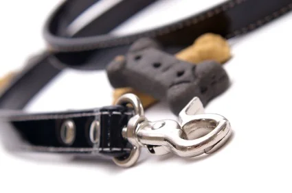 iStock_000003579354XSmall.jpg