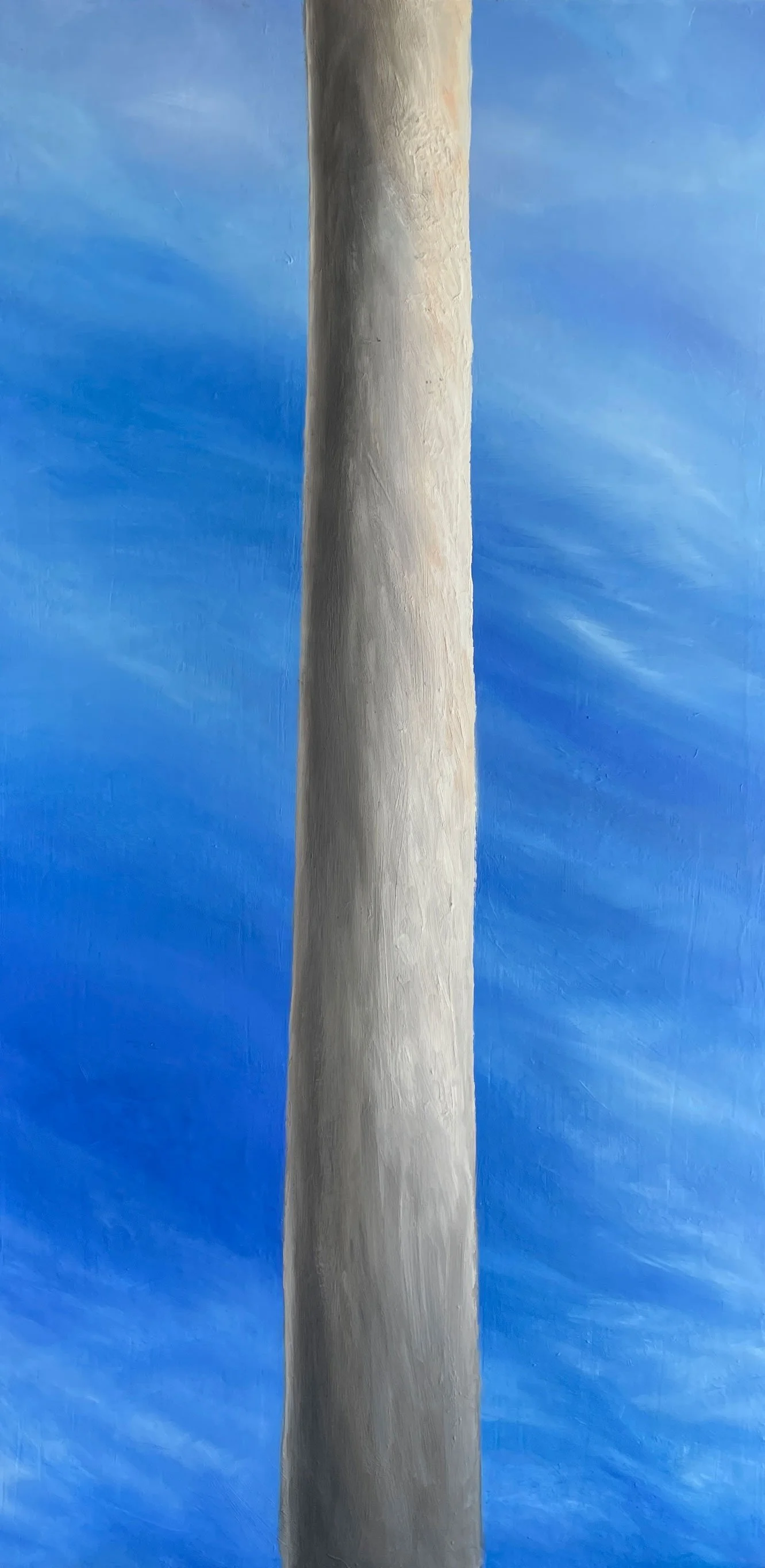 6 NFS HOLLYWOOD EUCALYPTUS TREE II.jpg