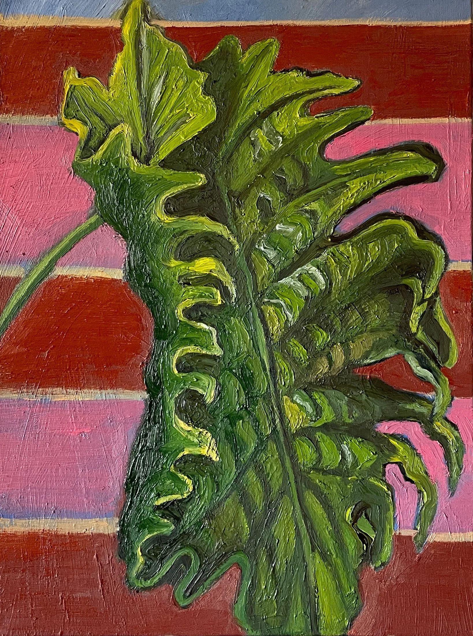 7 NFS PHILODENDRON.jpg