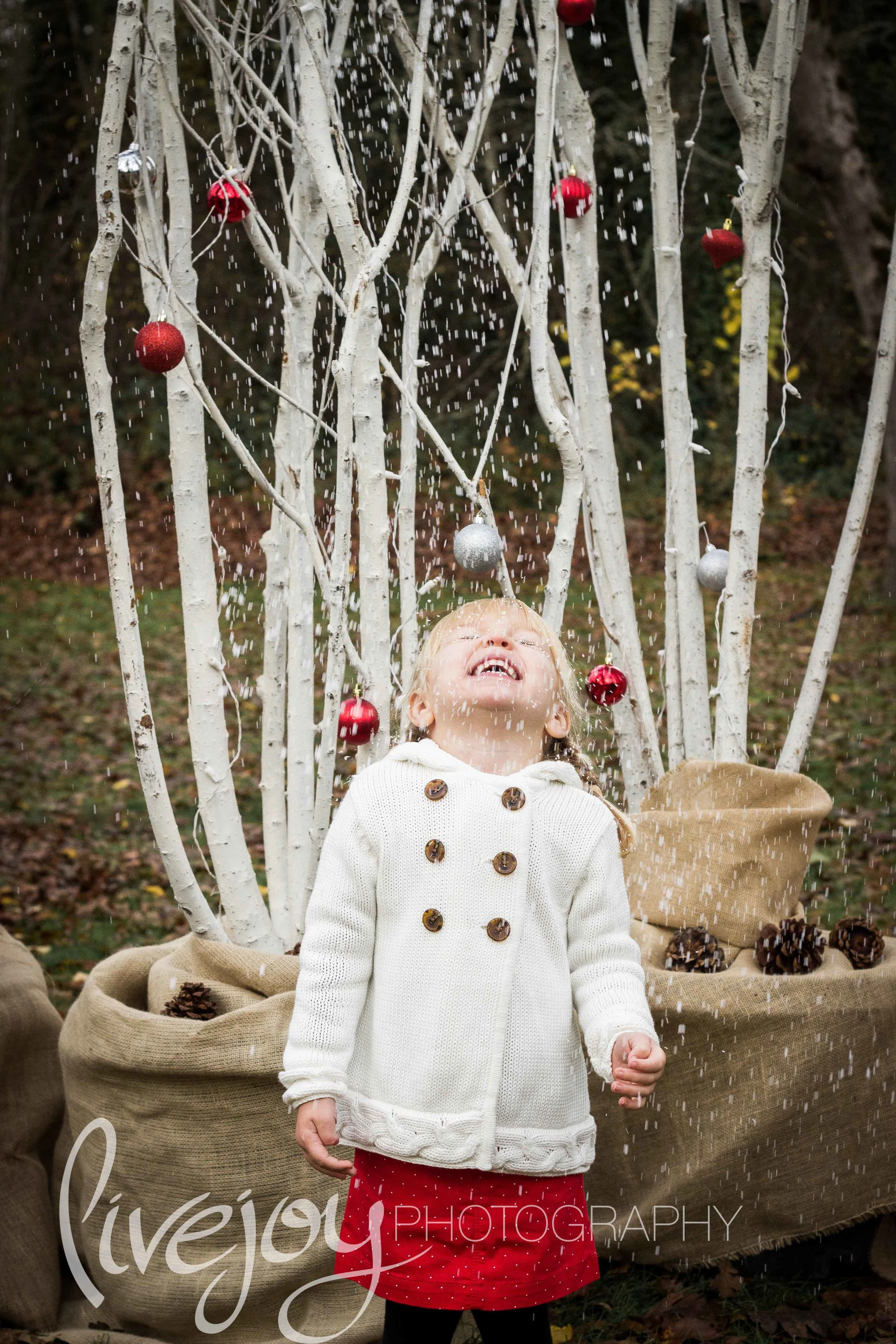 Christmas Family Photos Salem, Oregon — LiveJoy Photography