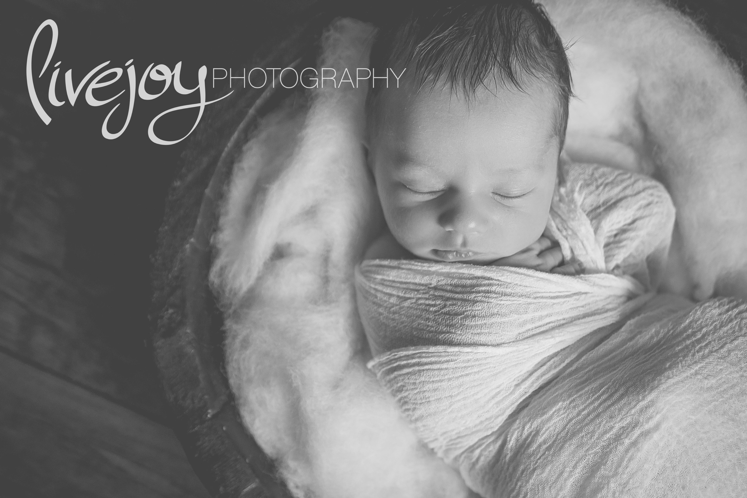 Griffin Newborn Photography | Oregon | LiveJoy Photography — LiveJoy ...
