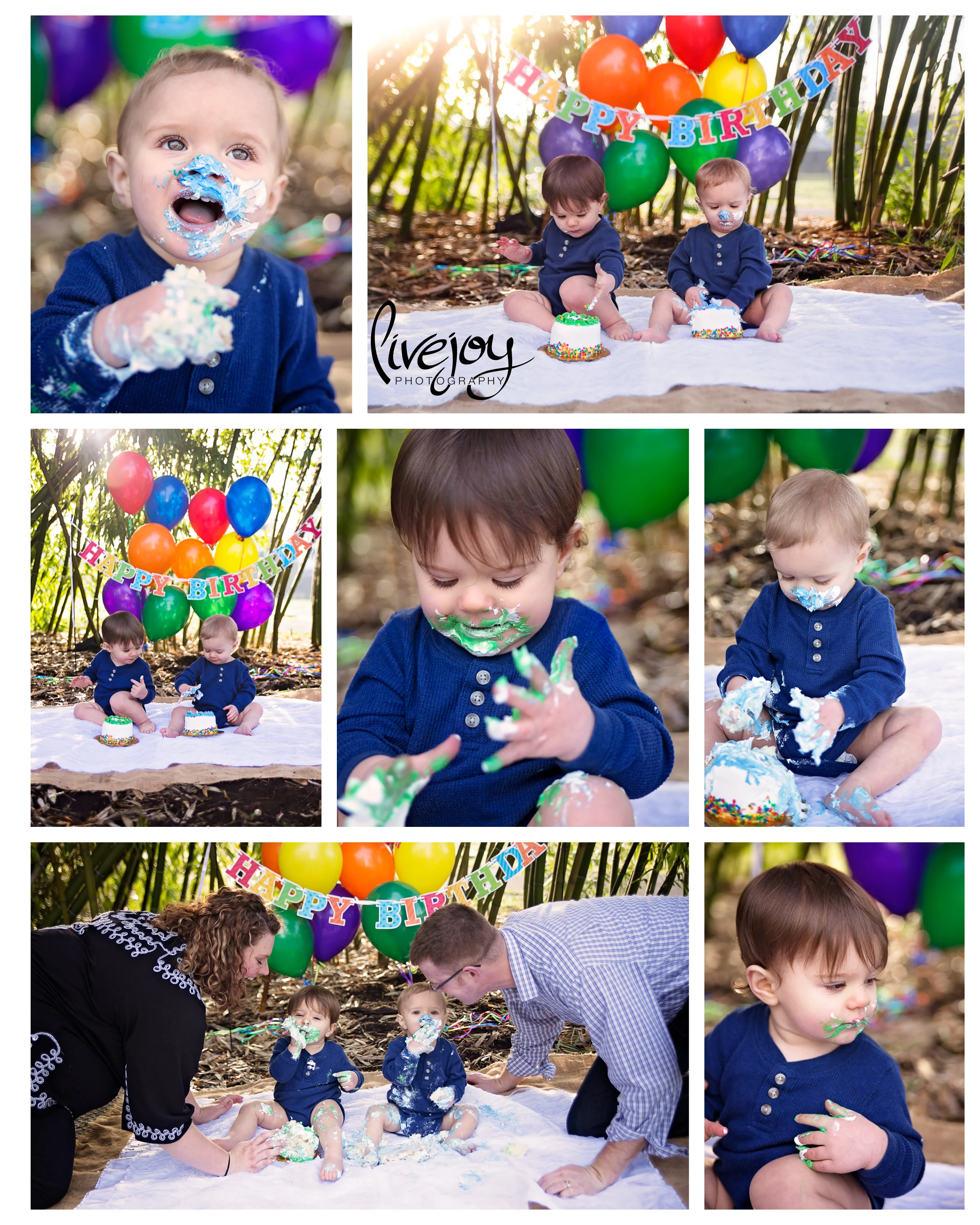 Twin Boys 1 Year Cake Smash Session | LiveJoy Photography