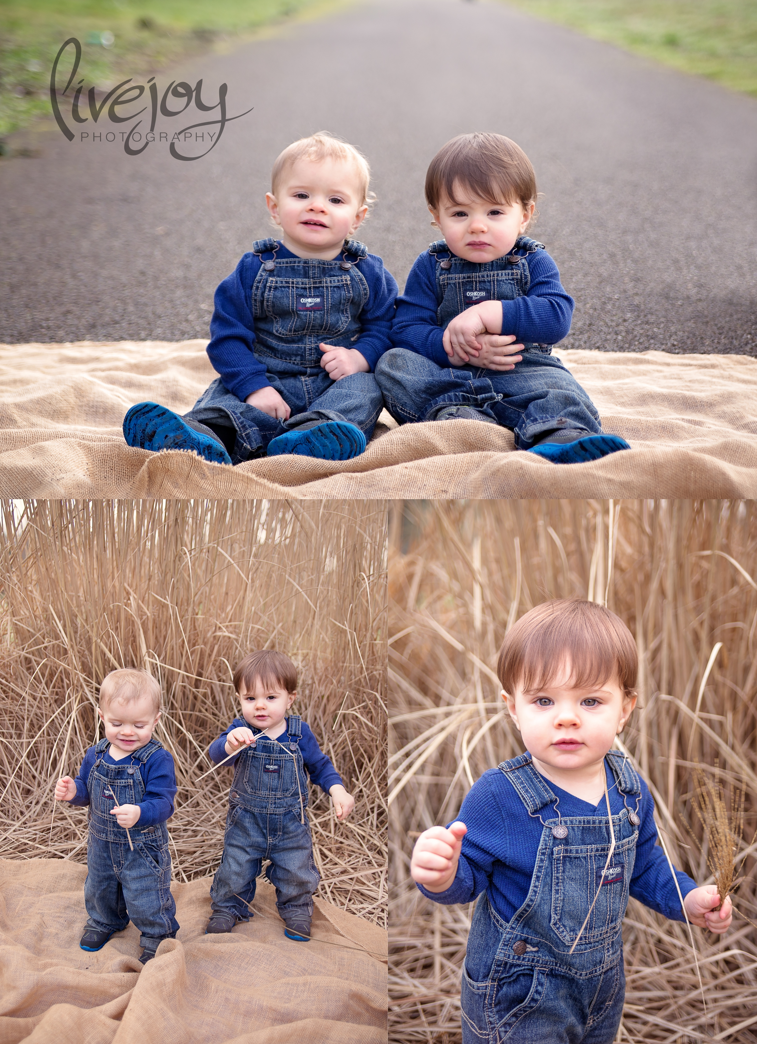 Twin Boys 1 Year Session | LiveJoy Photography