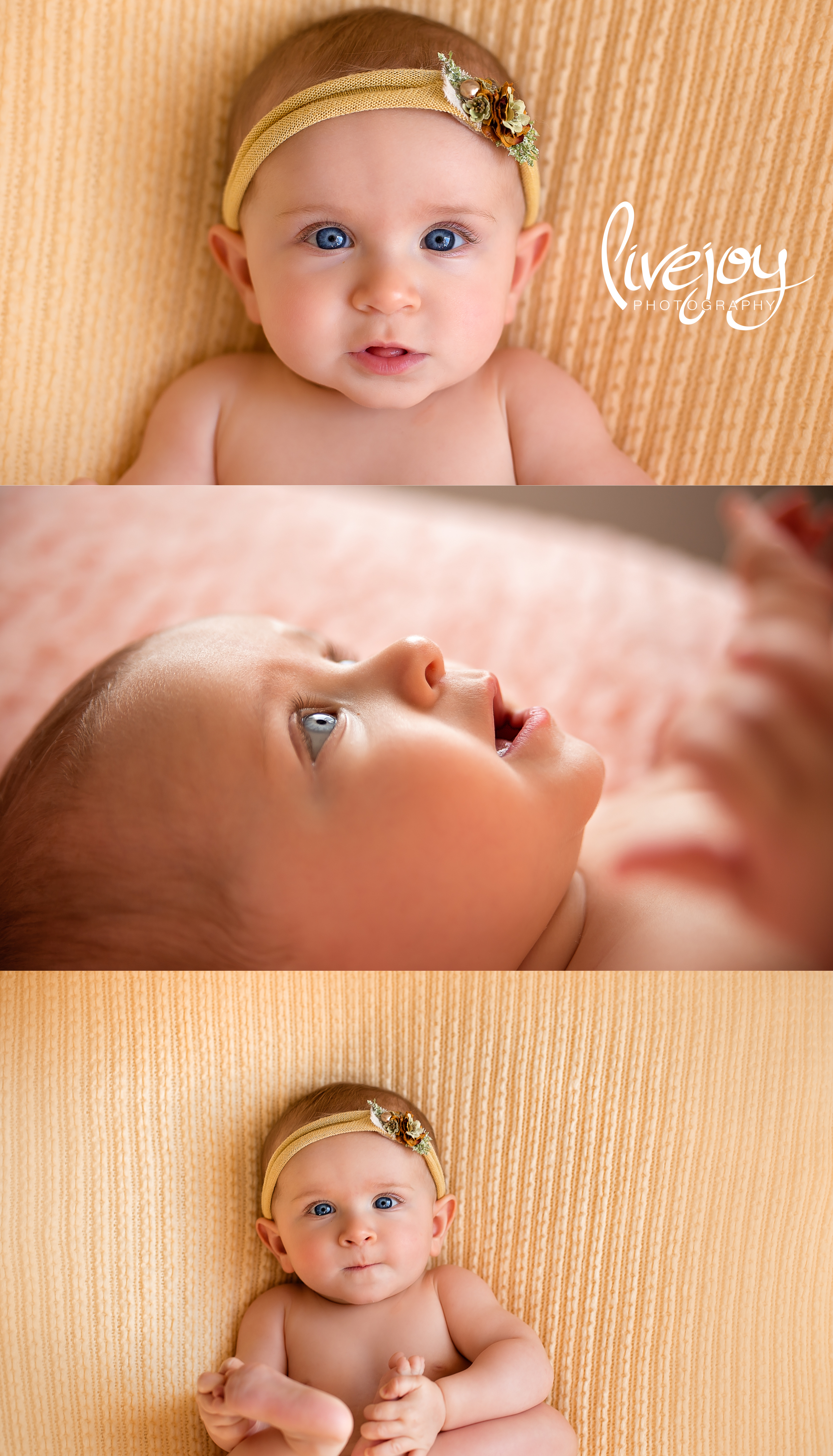 6 Months Baby Photography | Salem, Oregon | LiveJoy Photography