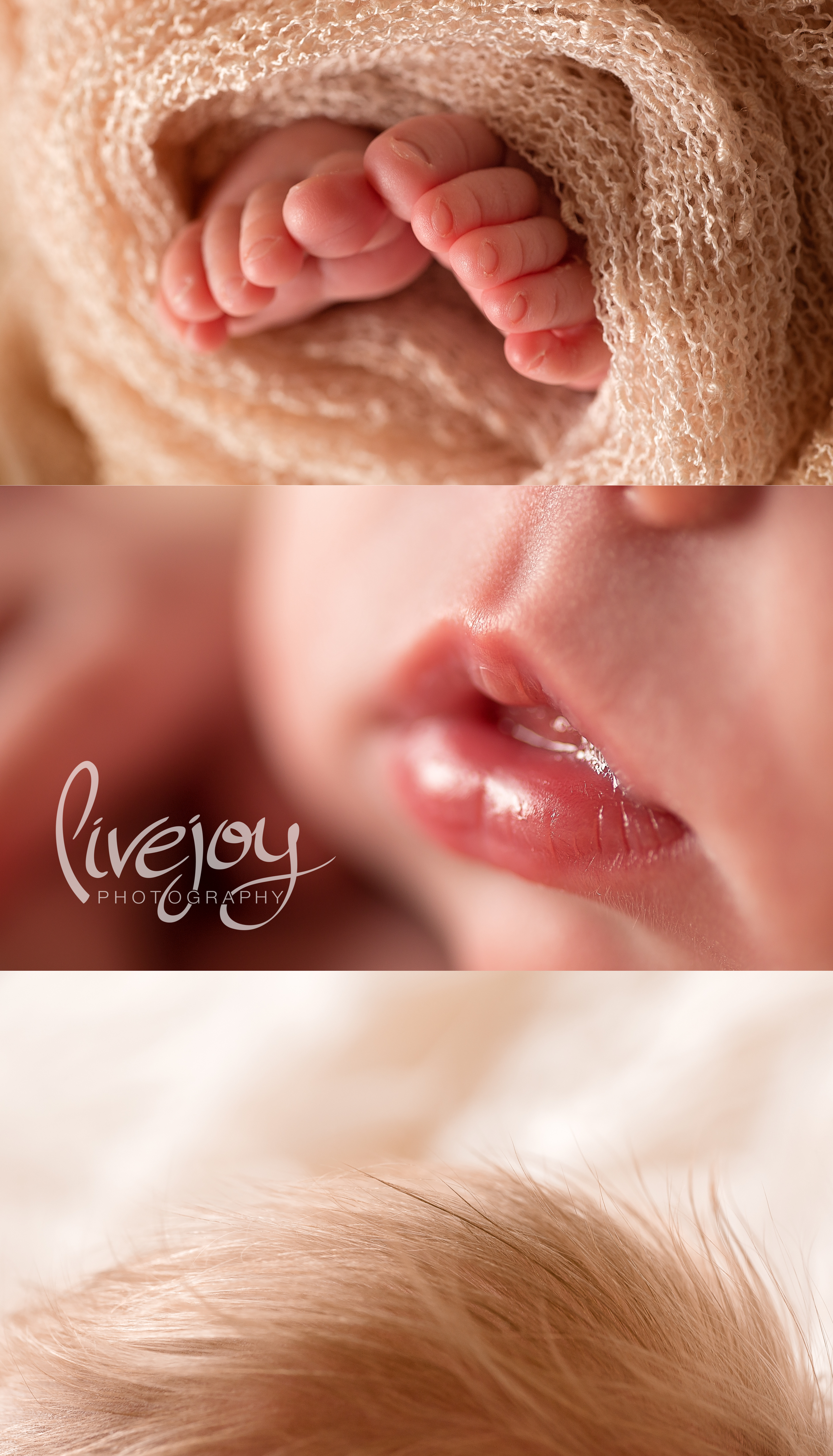  Newborn detail Macro Photography | Oregon | LiveJoy Photography