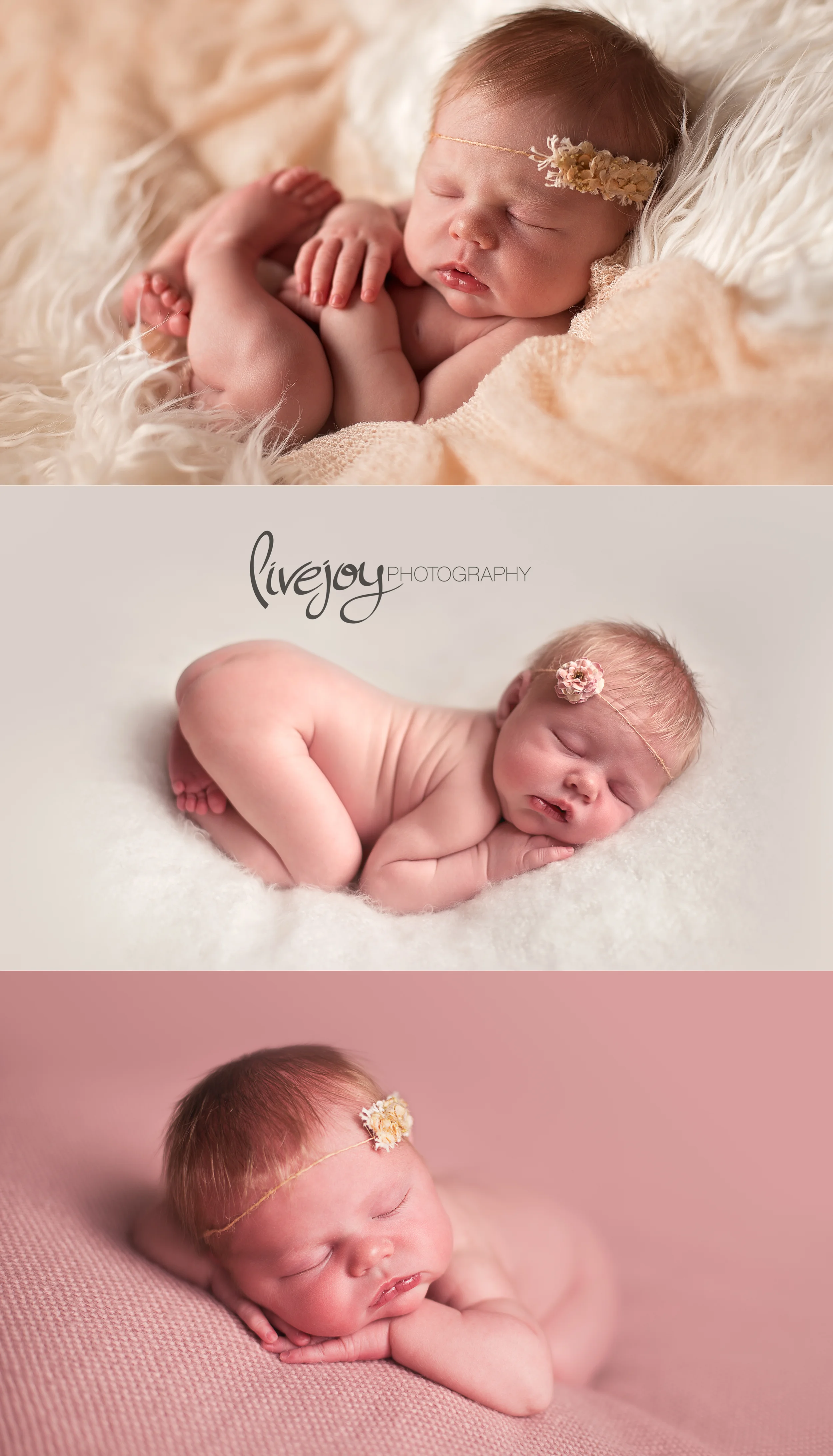 Newborn Photography | Oregon | LiveJoy Photography