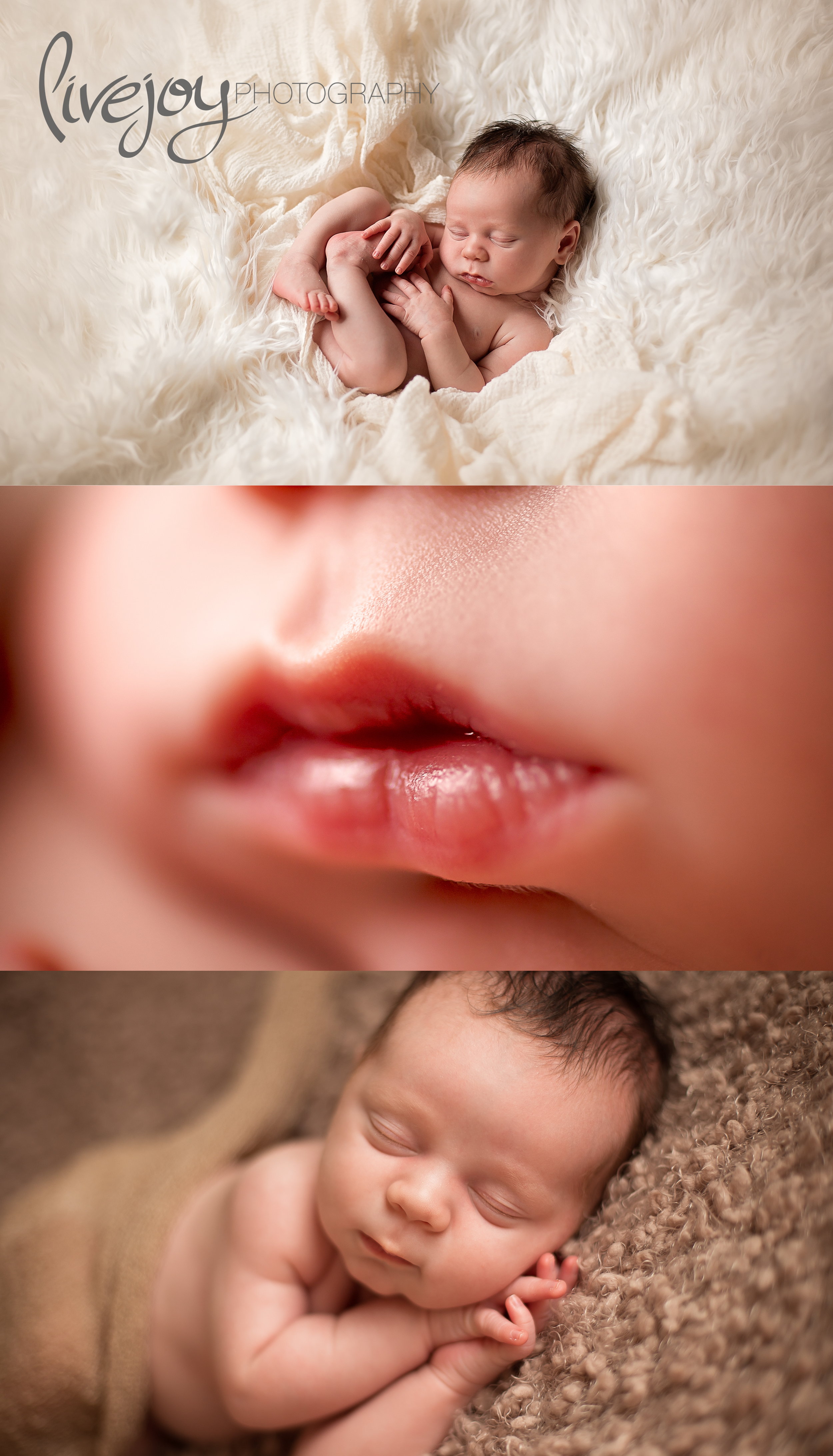 Newborn Photography | Oregon | LiveJoy Photography