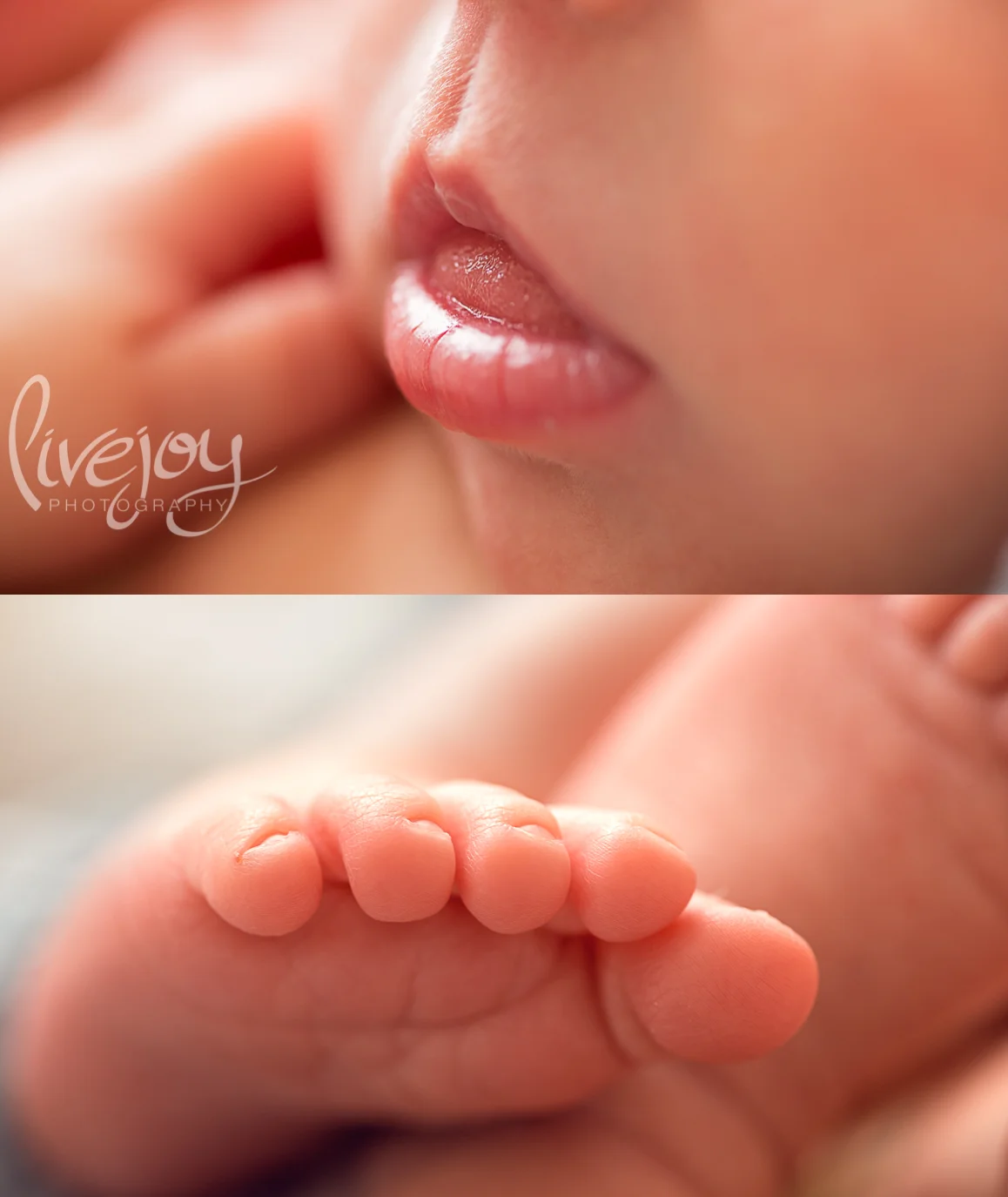 Newborn Detail Macro Photography | Oregon | LiveJoy Photgraphy