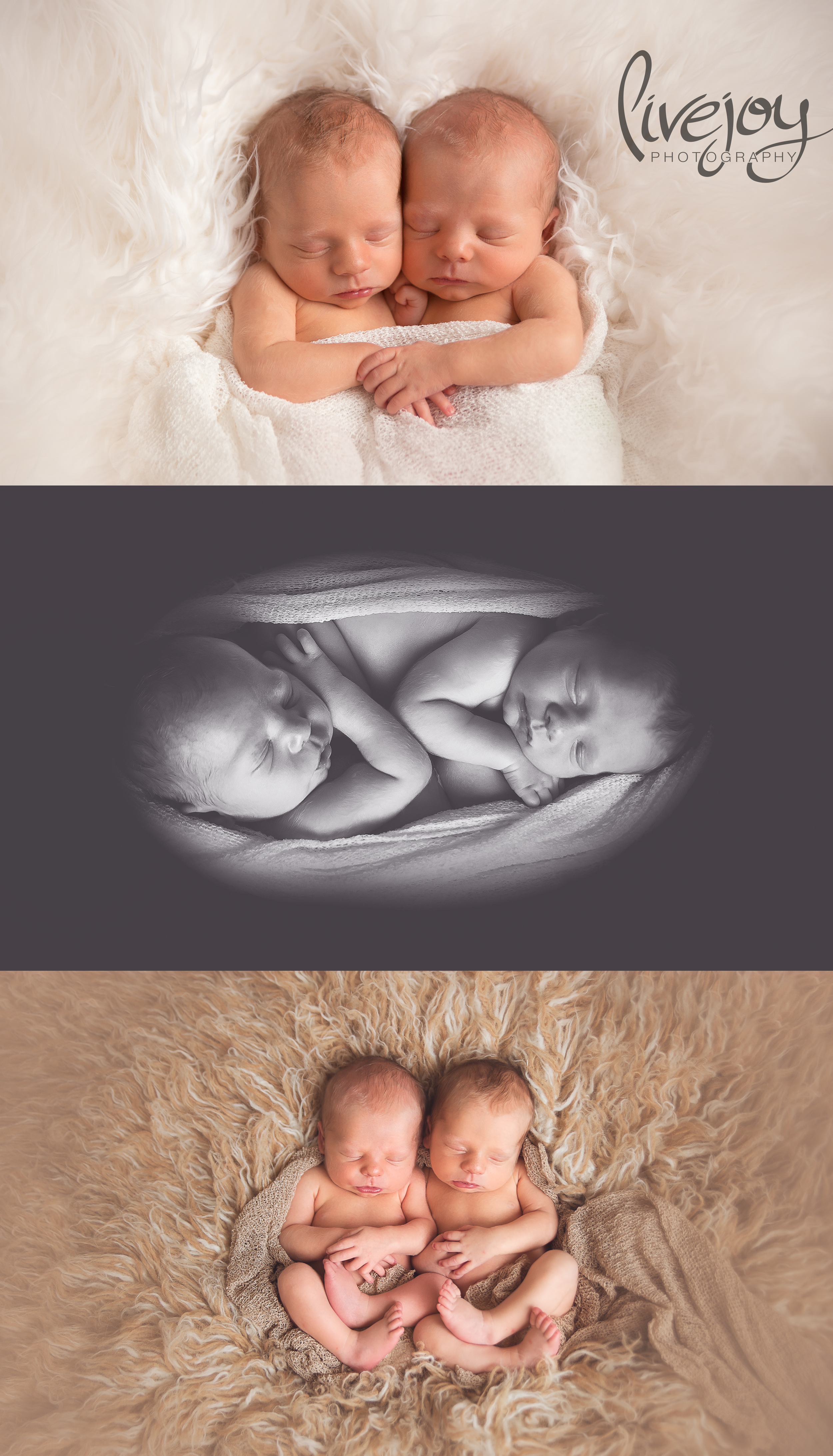 Twin Newborn Boy Photos | Oregon | LiveJoy Photography