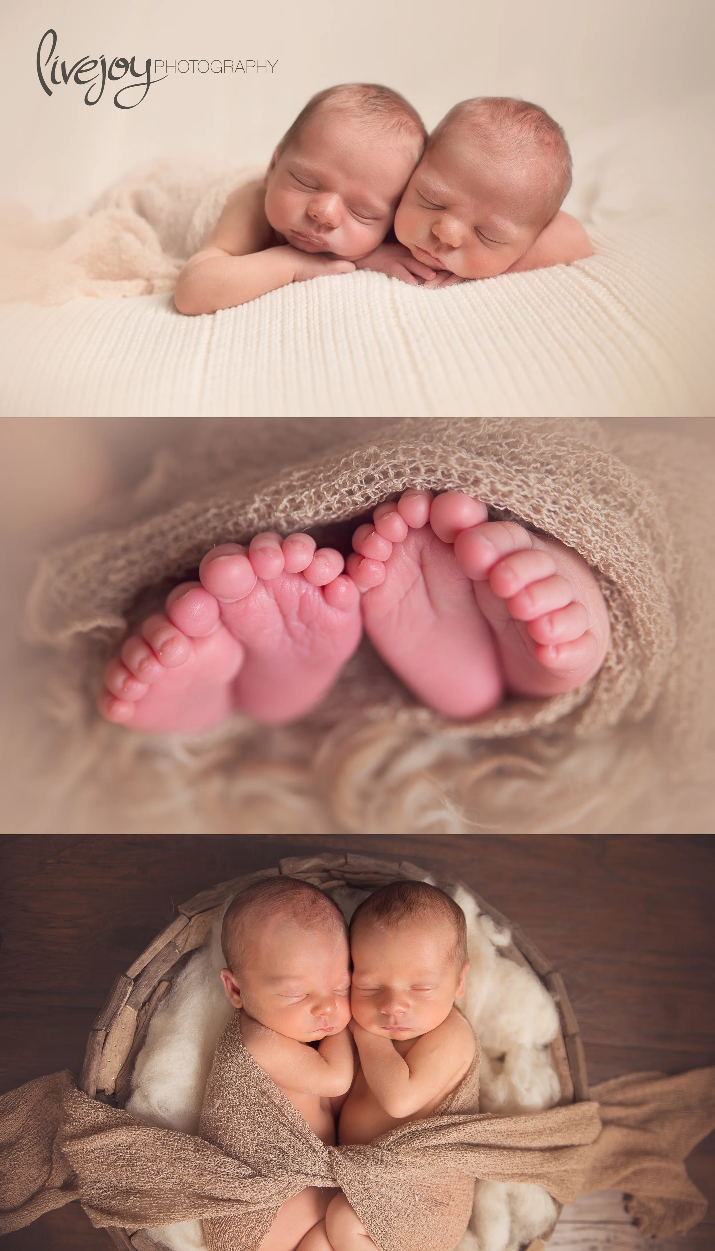 Twin Newborn Boy Photos | Oregon | LiveJoy Photography