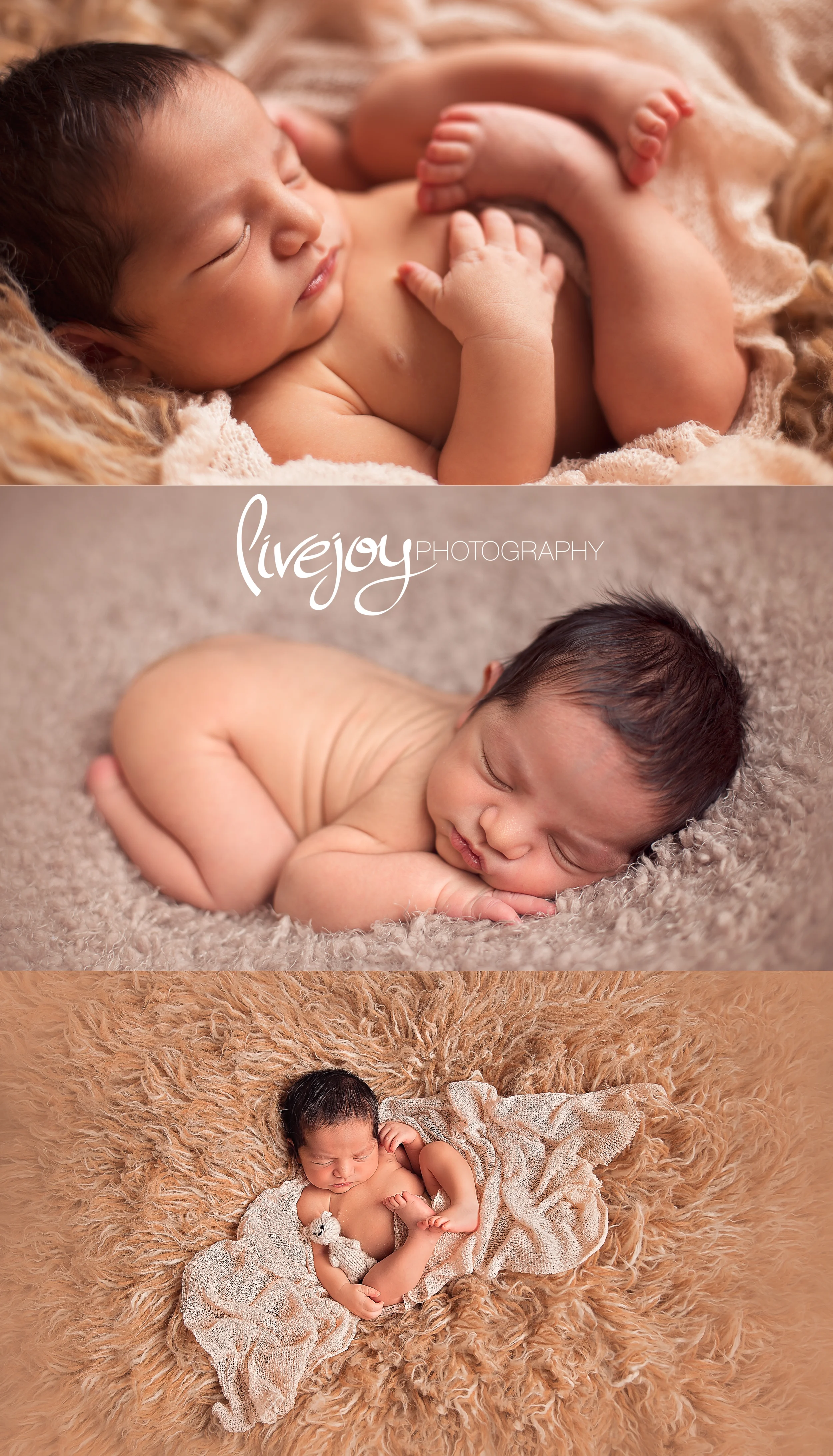 Newborn Photography | Oregon | LiveJoy Photography