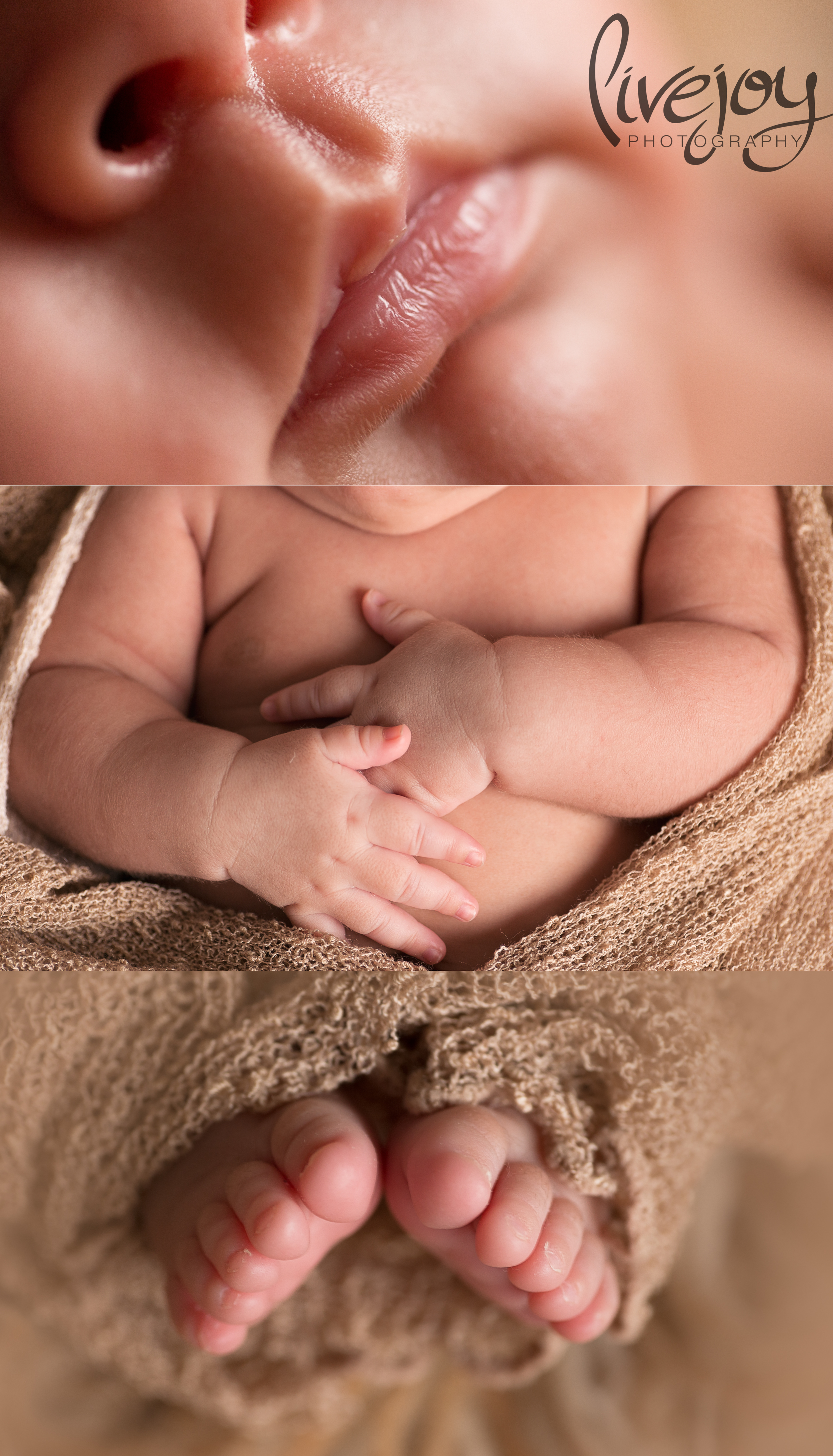 Newborn Photograph Details | Oregon | LiveJoy Photography