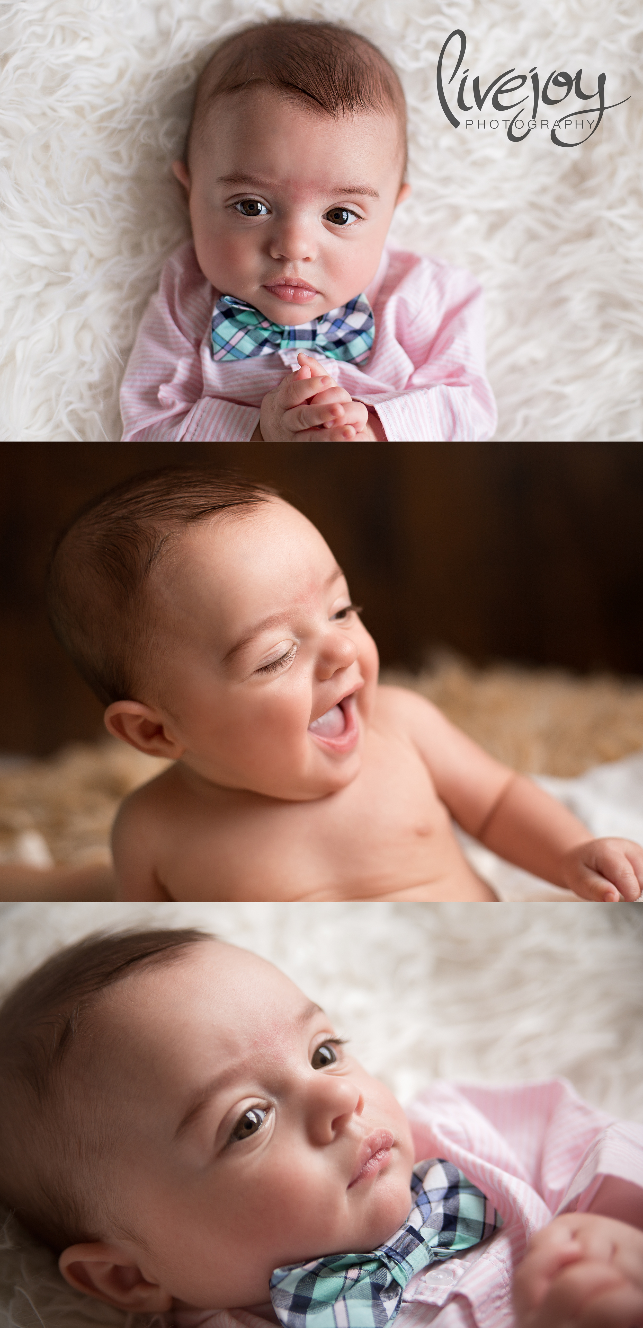 6 Months Baby Photos | Oregon | LiveJoy Photography