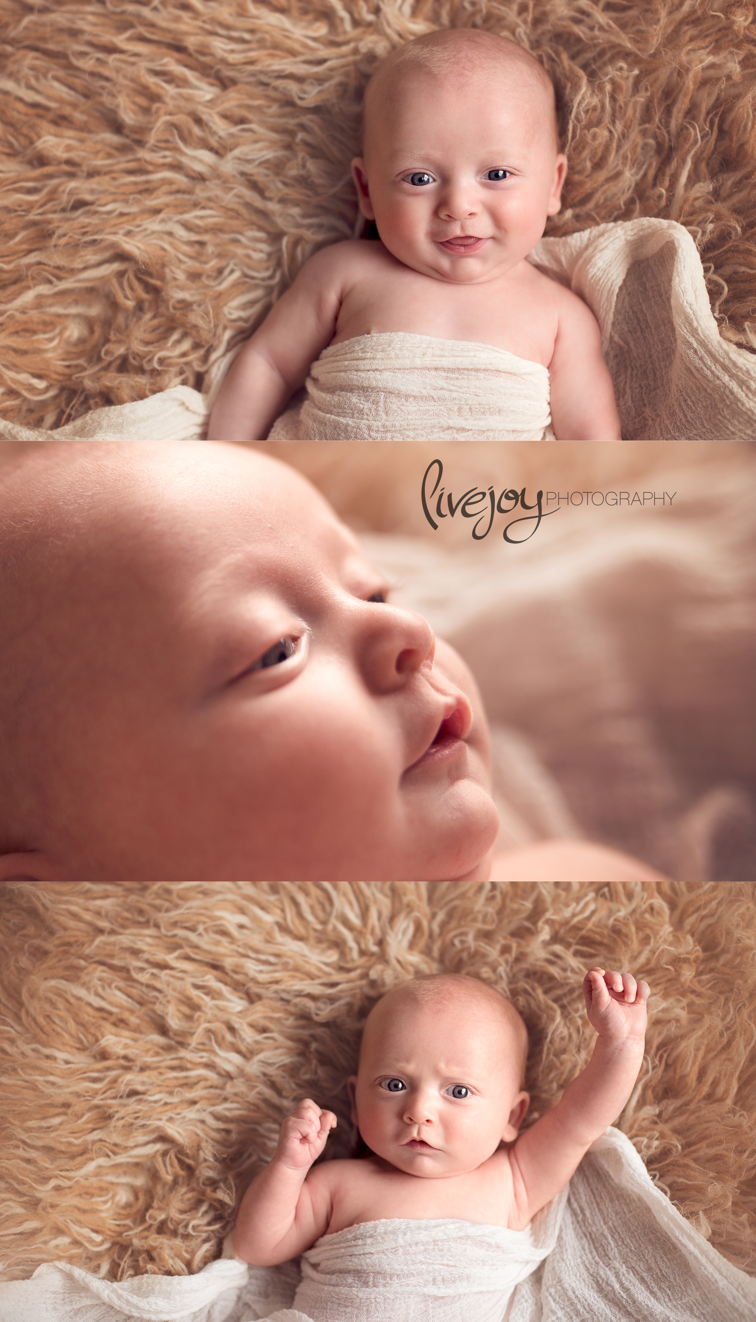 Baby Photos | LiveJoy Photography