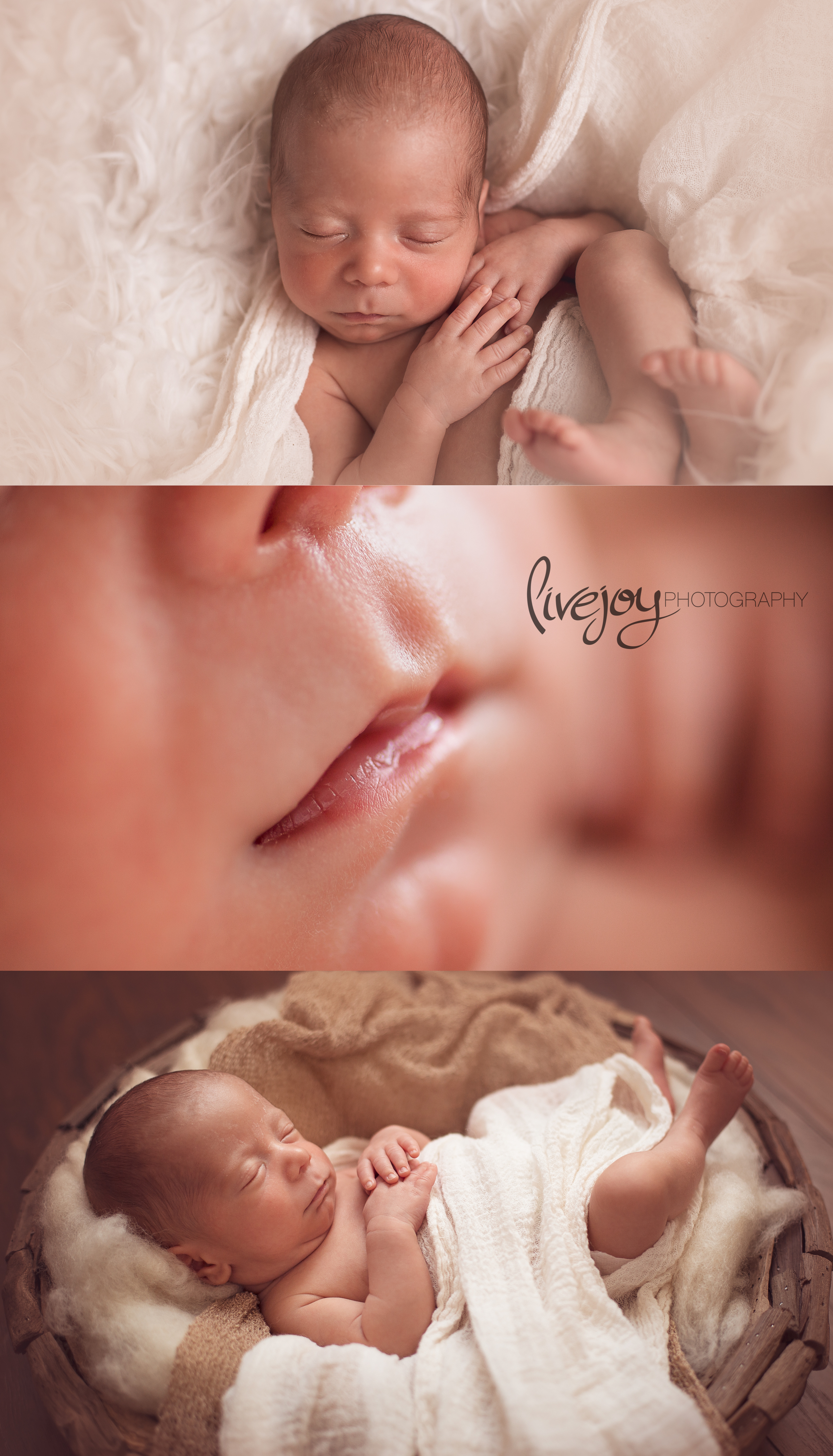 Newborn Photography | Oregon | LiveJoy Photography