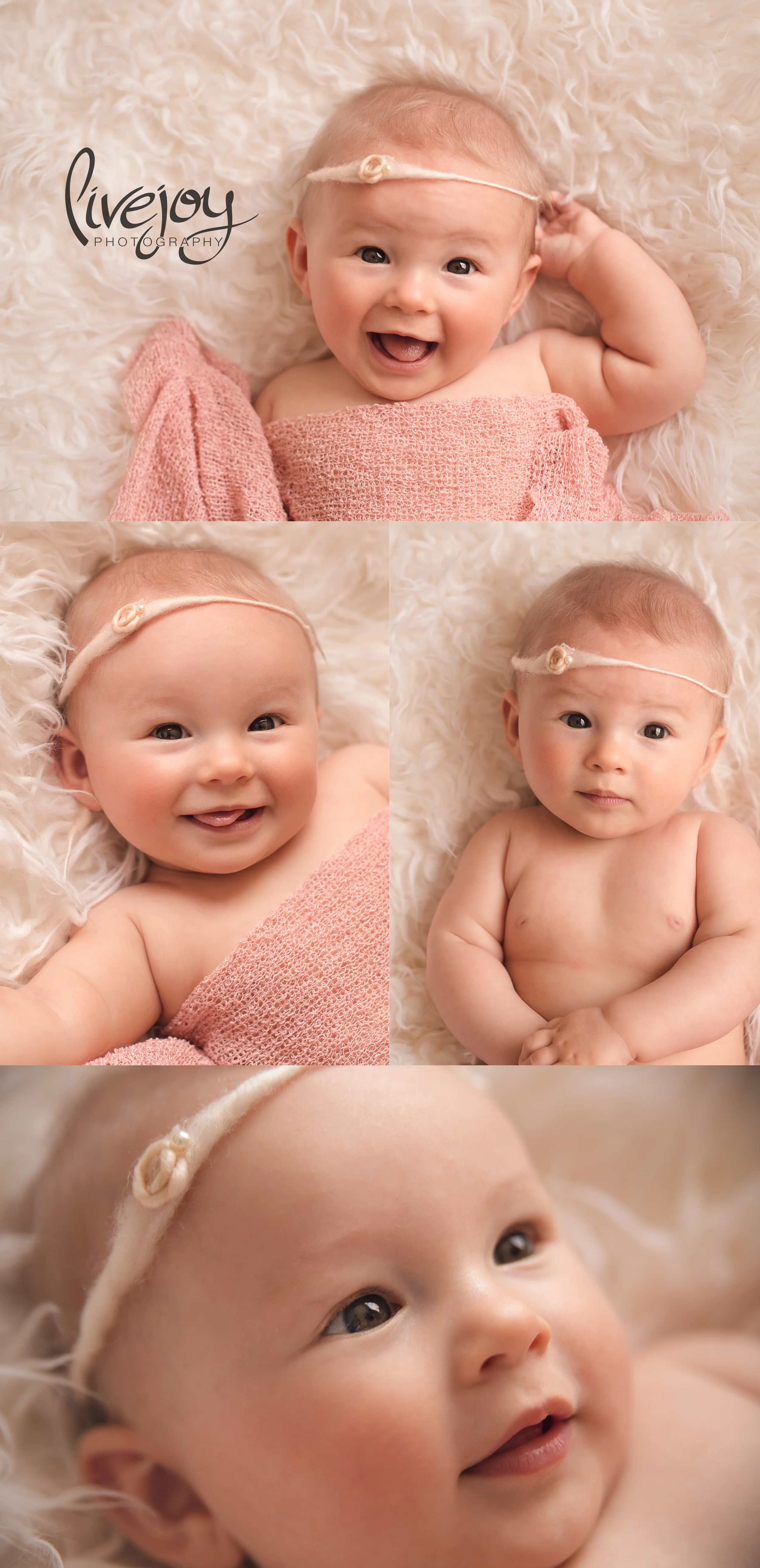 6 Month Photography | LiveJoy Photography | Oregon