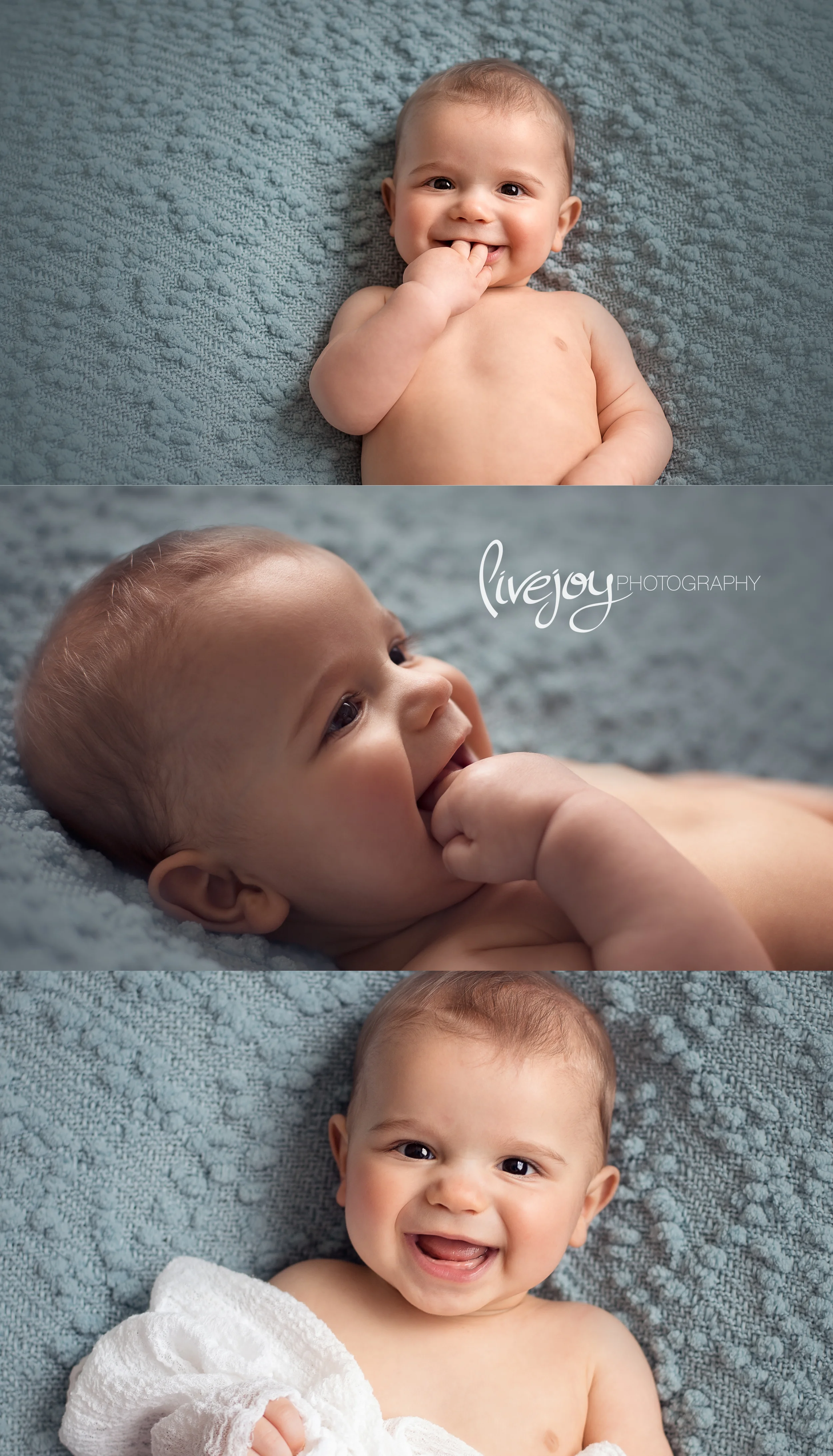 6 Month Photography | LiveJoy Photography | Oregon
