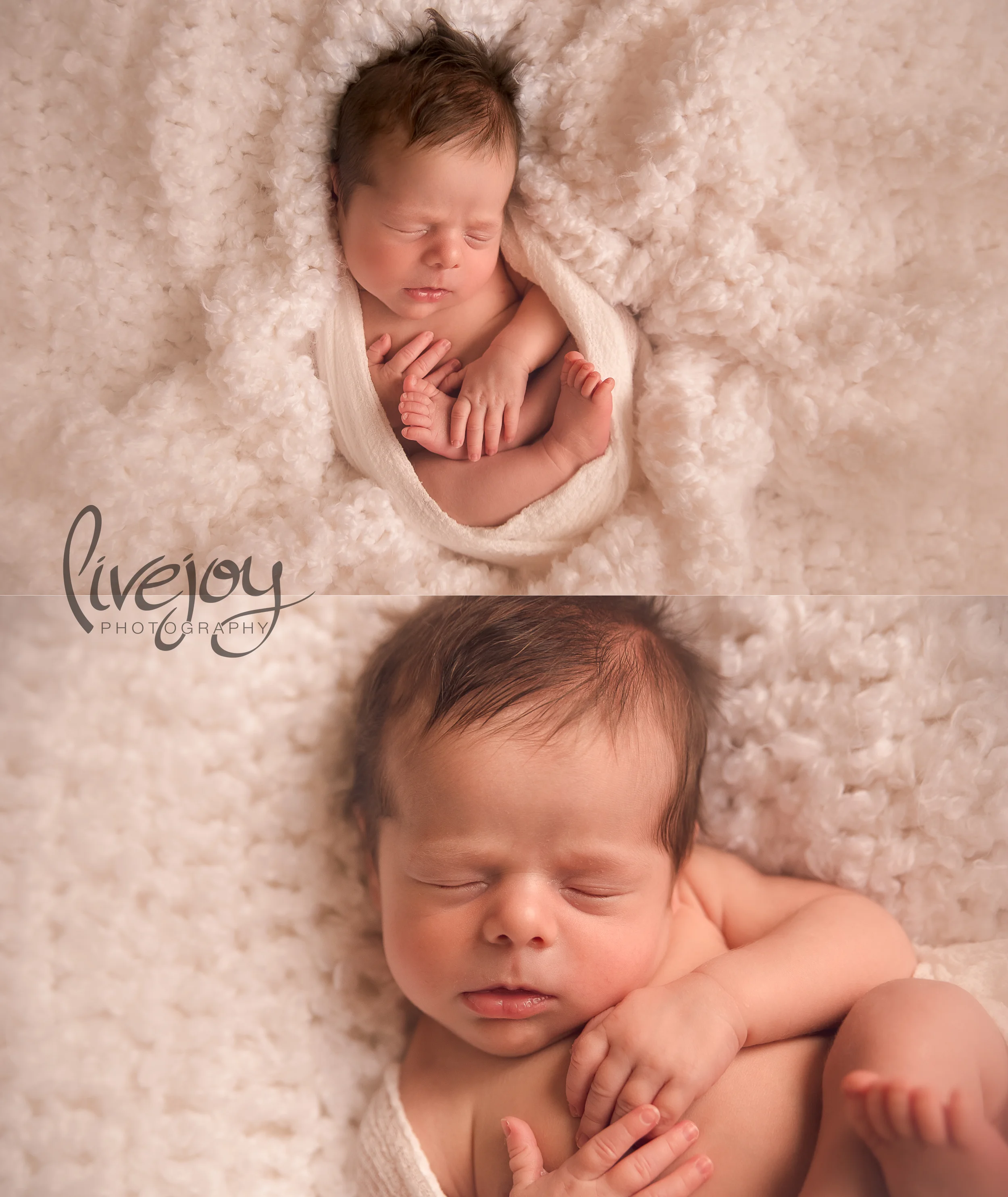Twin Newborn Boy Photography | LiveJoy Photography | Oregon