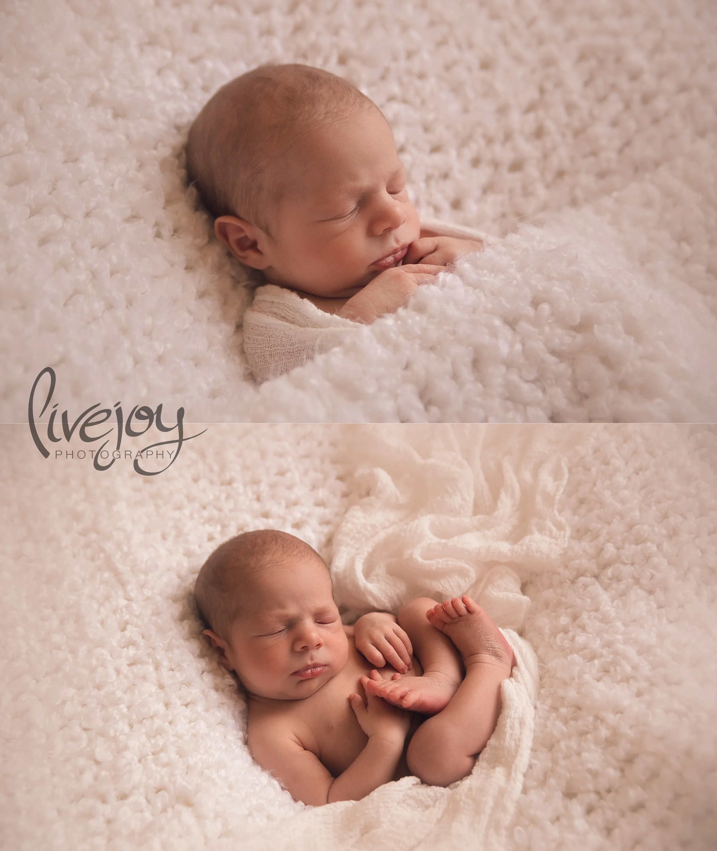 Twin Newborn Boy Photography | LiveJoy Photography | Oregon
