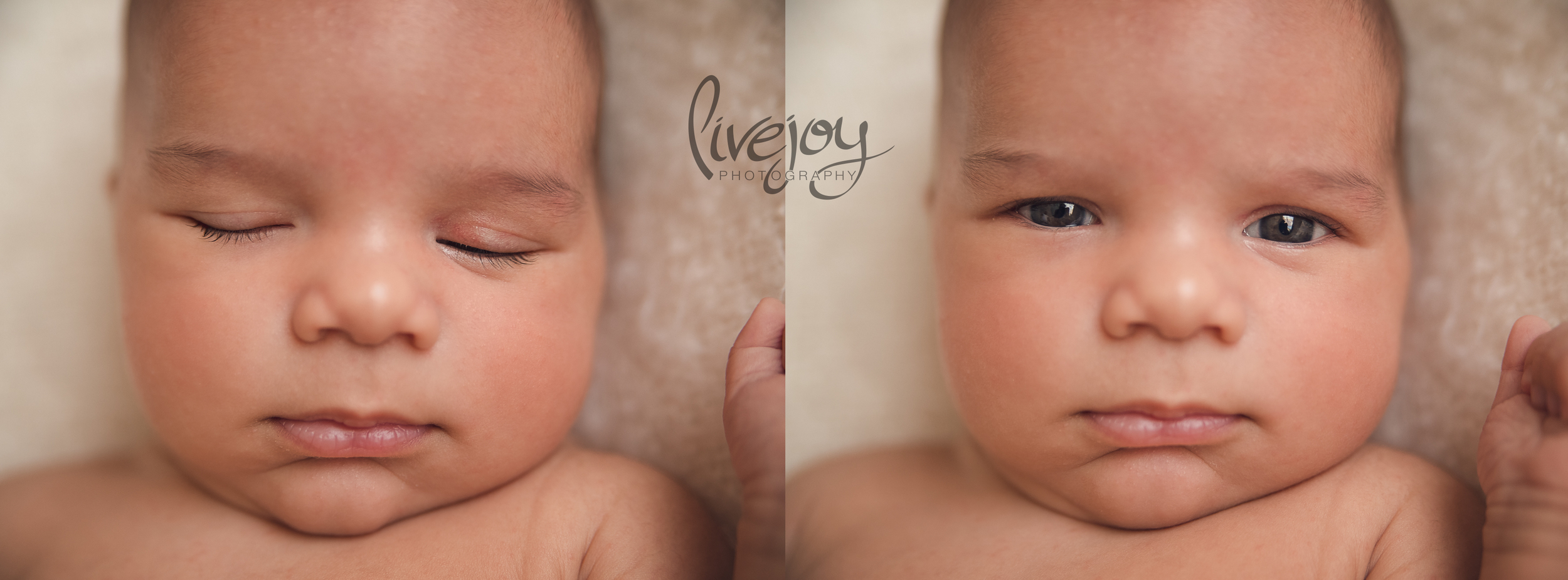 One Month Baby Photography | LiveJoy Photography | Oregon