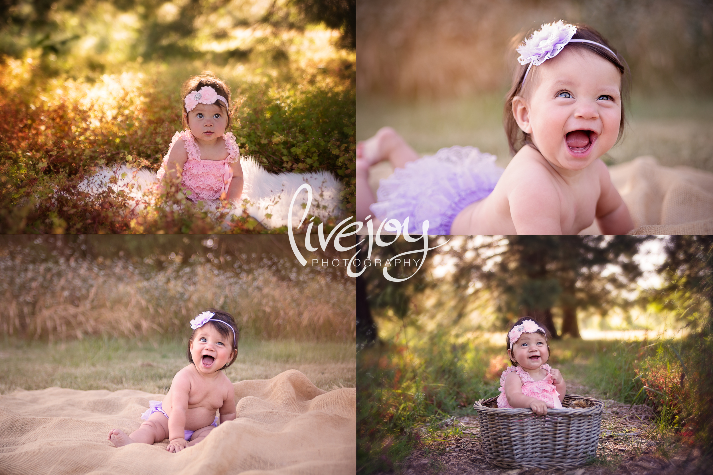 6 Month Photography | LiveJoy Photography | Oregon