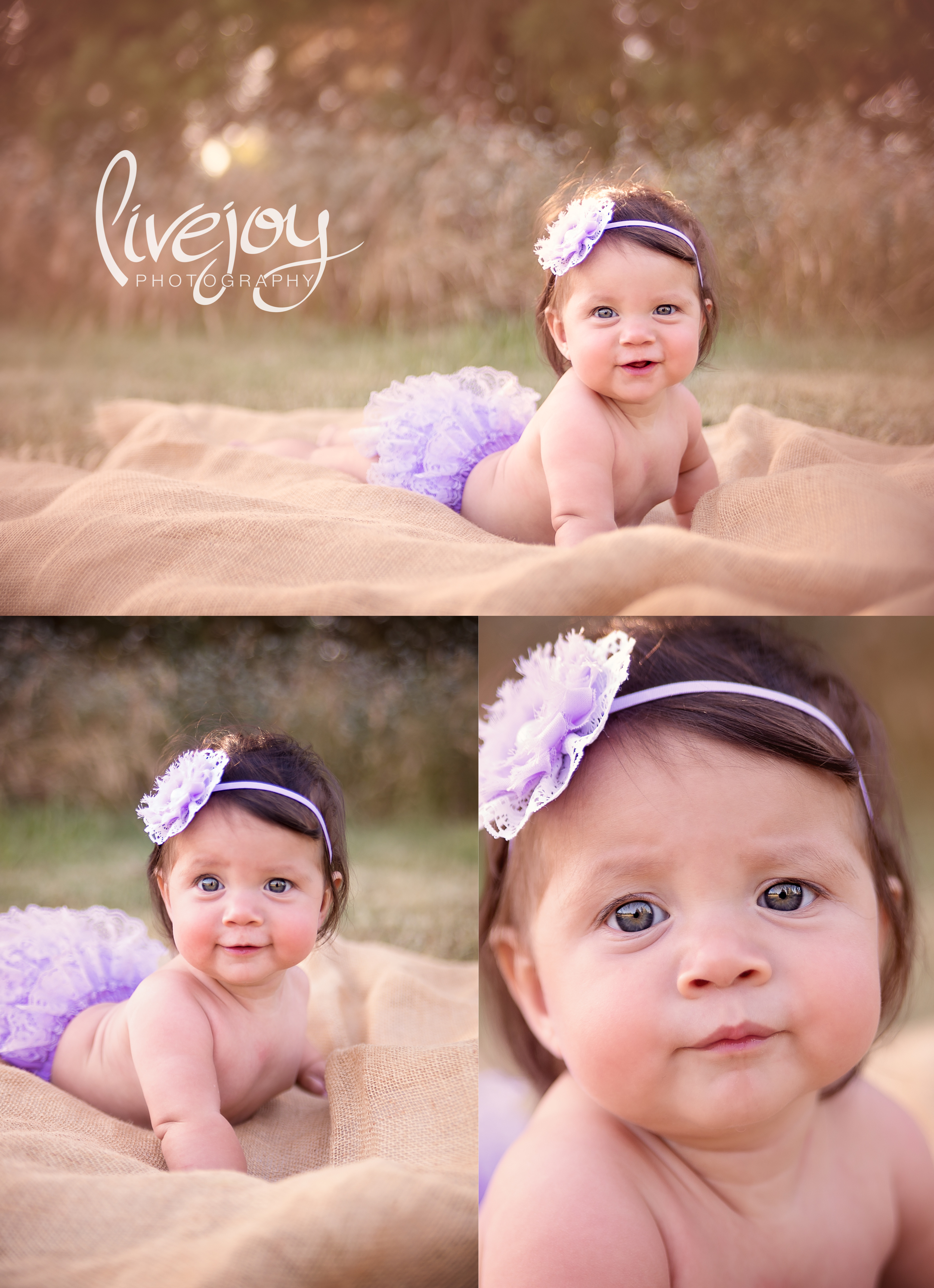 6 Month Photography | LiveJoy Photography | Oregon