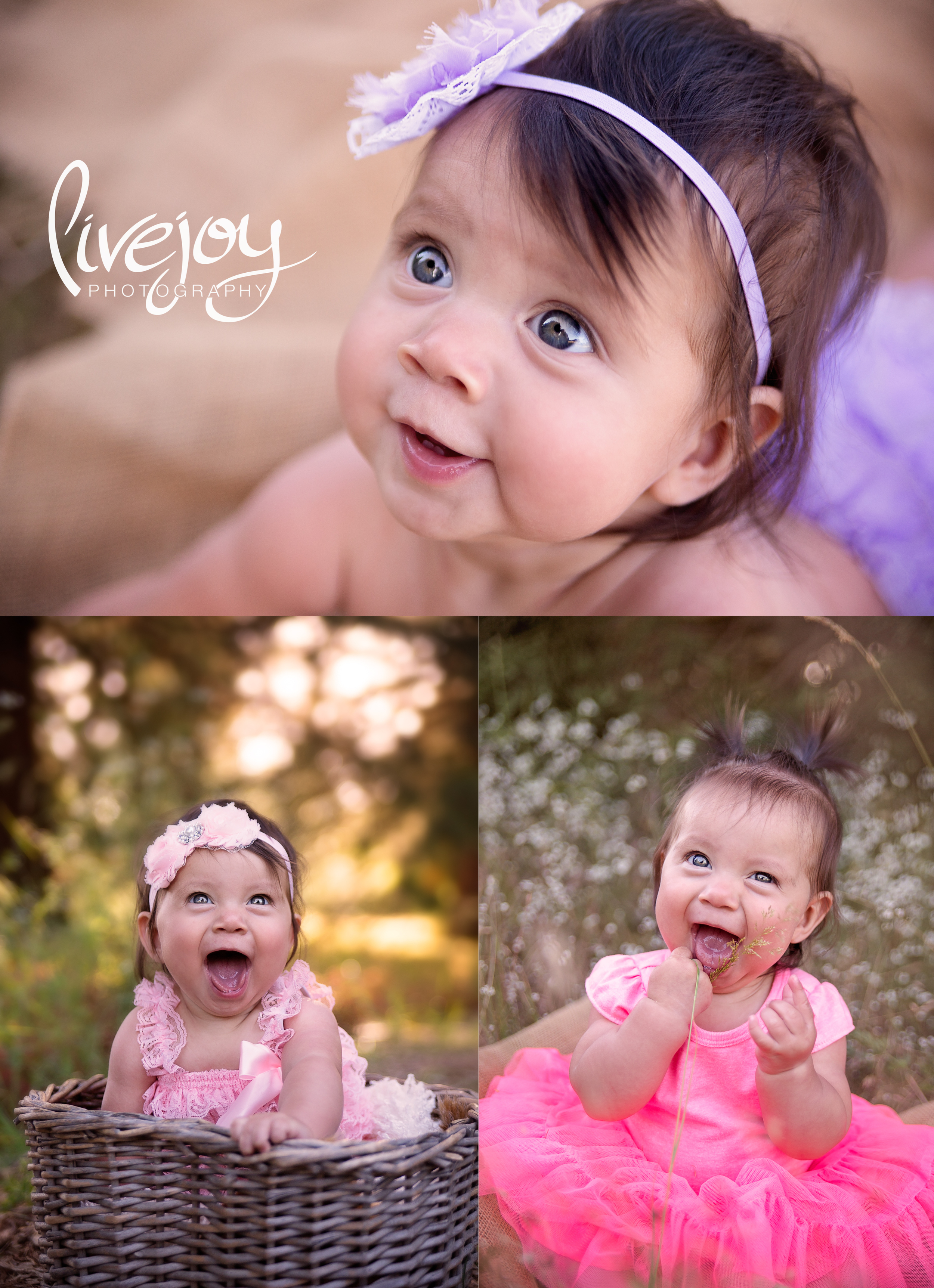 6 Month Photography | LiveJoy Photography | Oregon