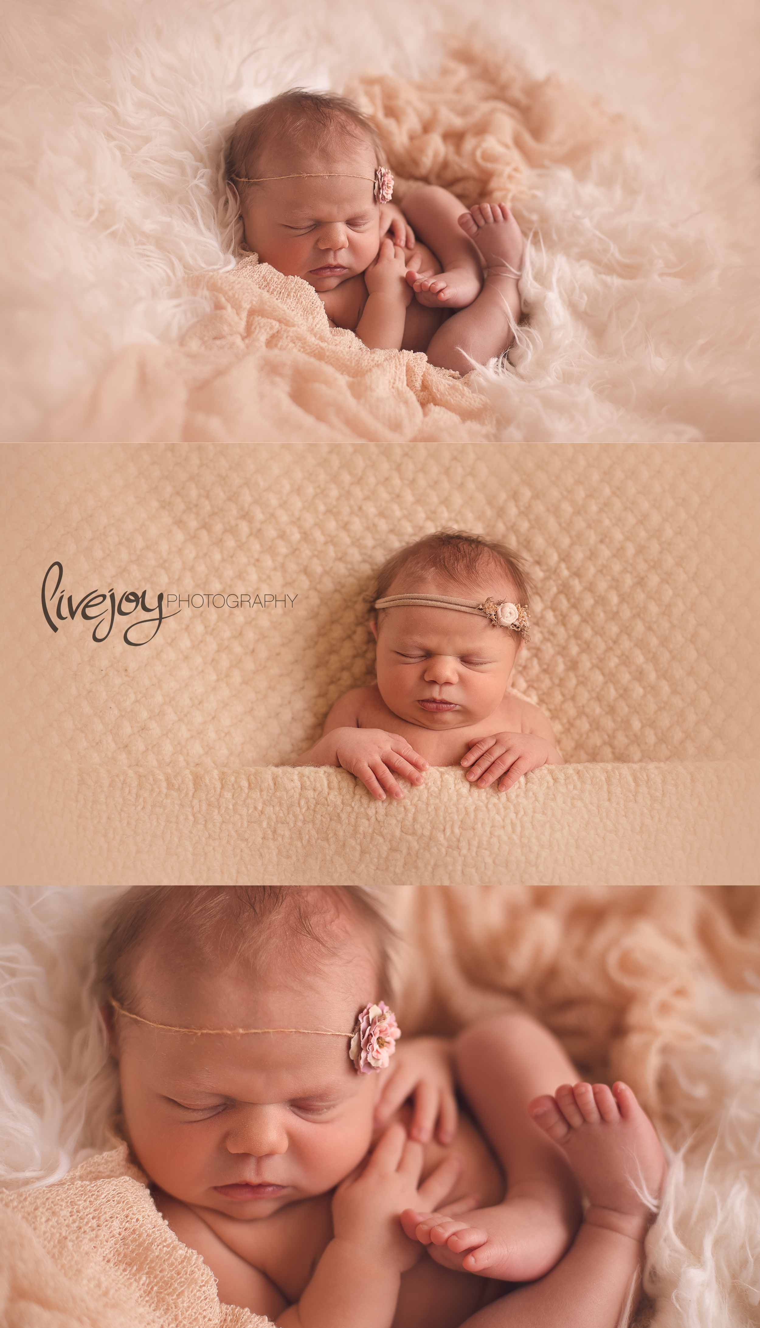 Newborn Girl Photography | Oregon | LiveJoy Photography 