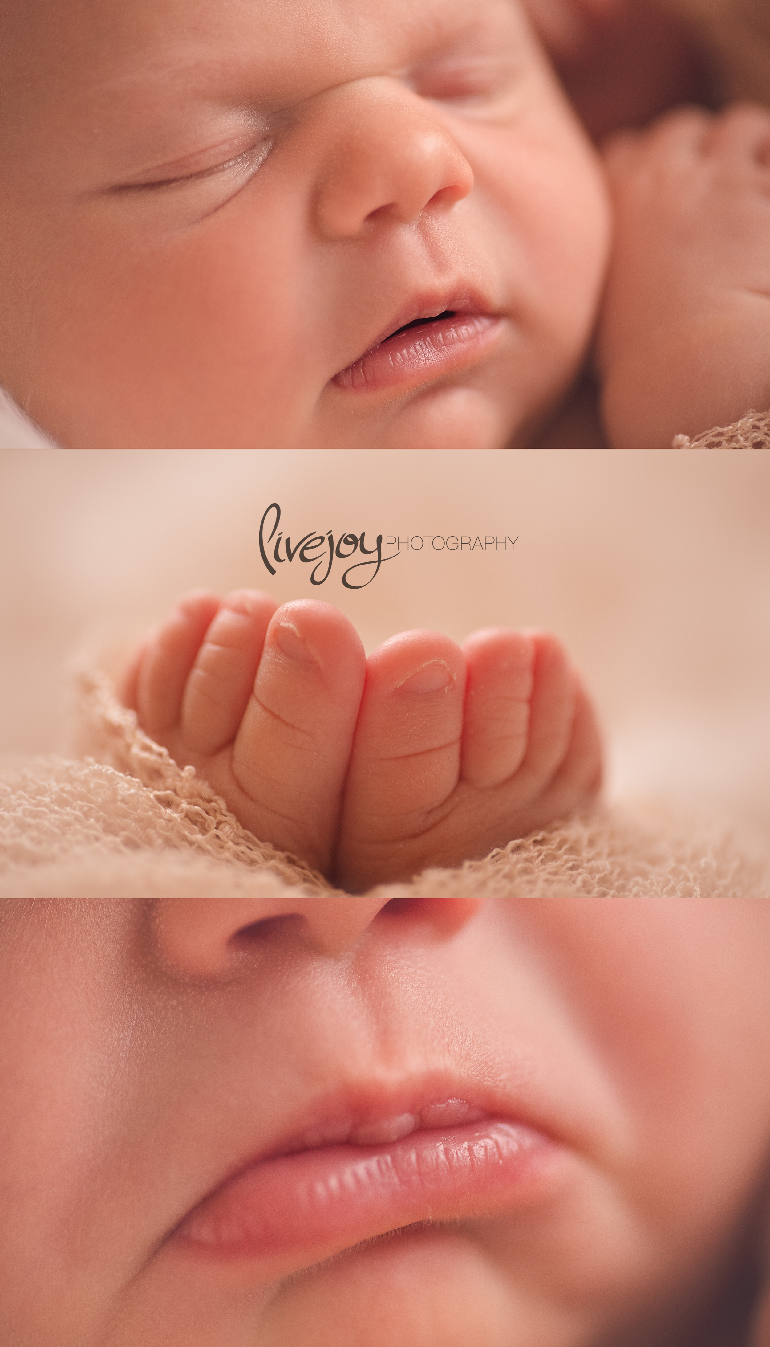 Newborn Girl Photography macro | Oregon | LiveJoy Photography 