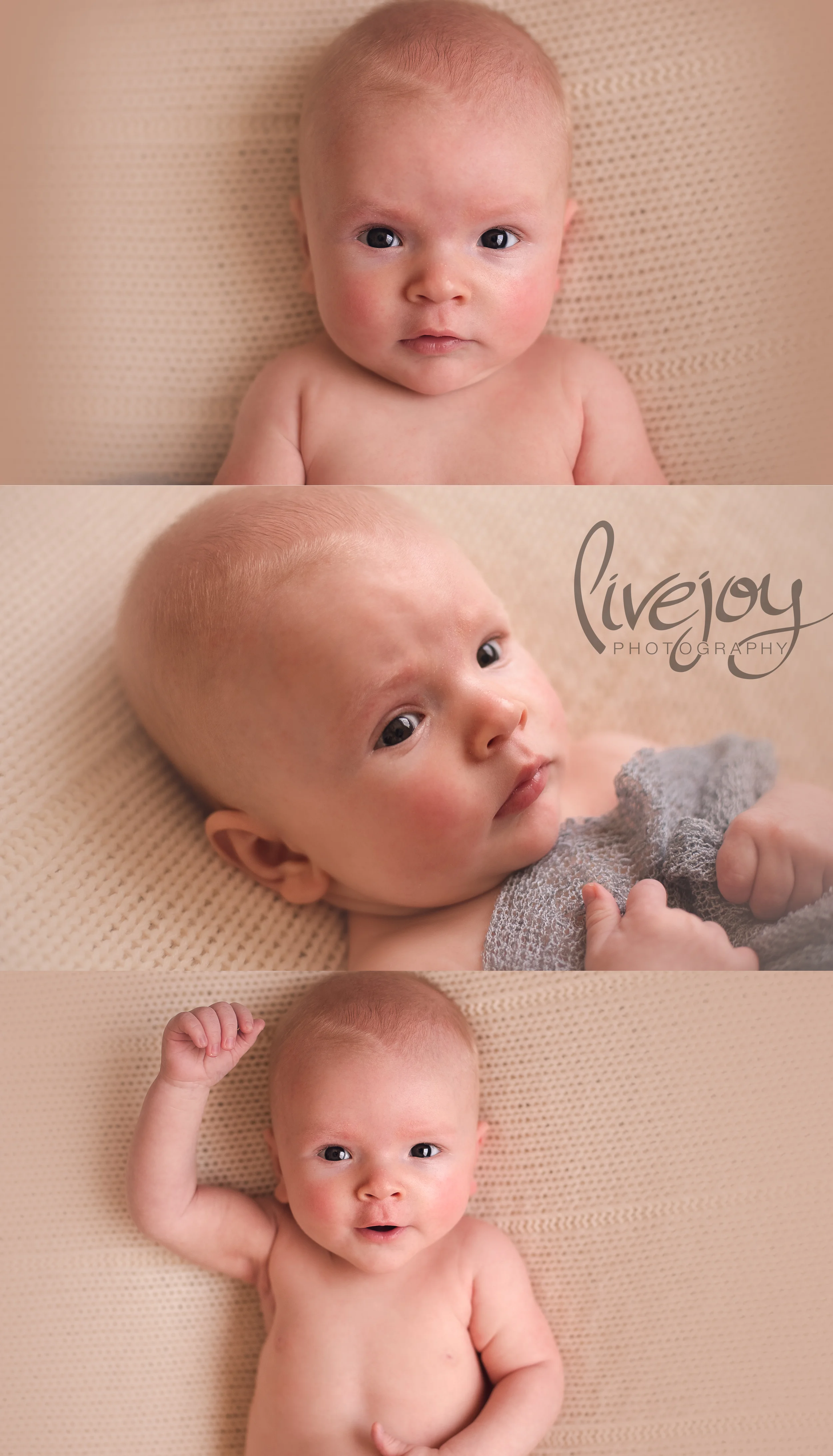 3 Month Baby Boy | Oregon | LiveJoy Photography