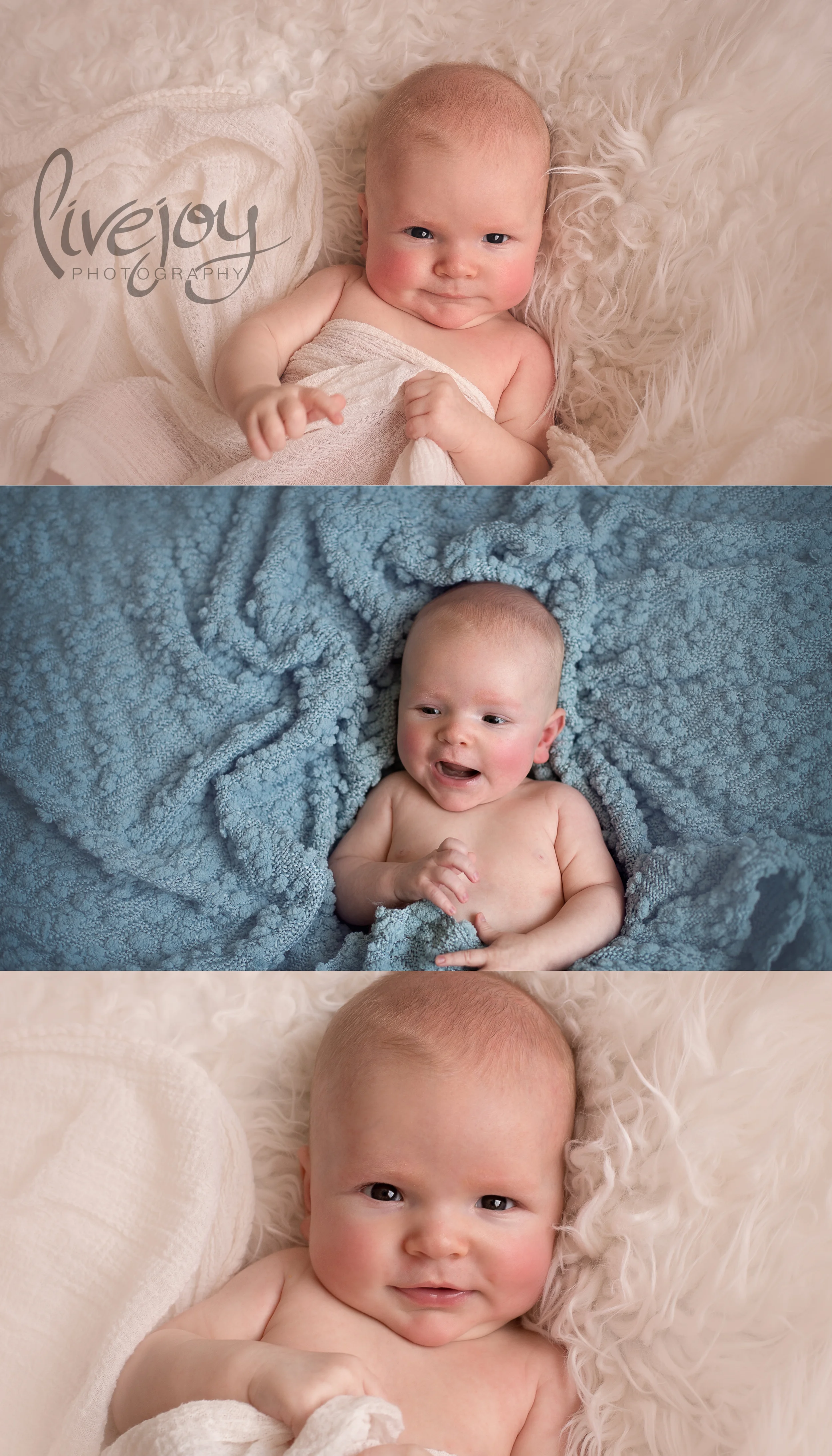 3 Month Baby Boy | Oregon | LiveJoy Photography