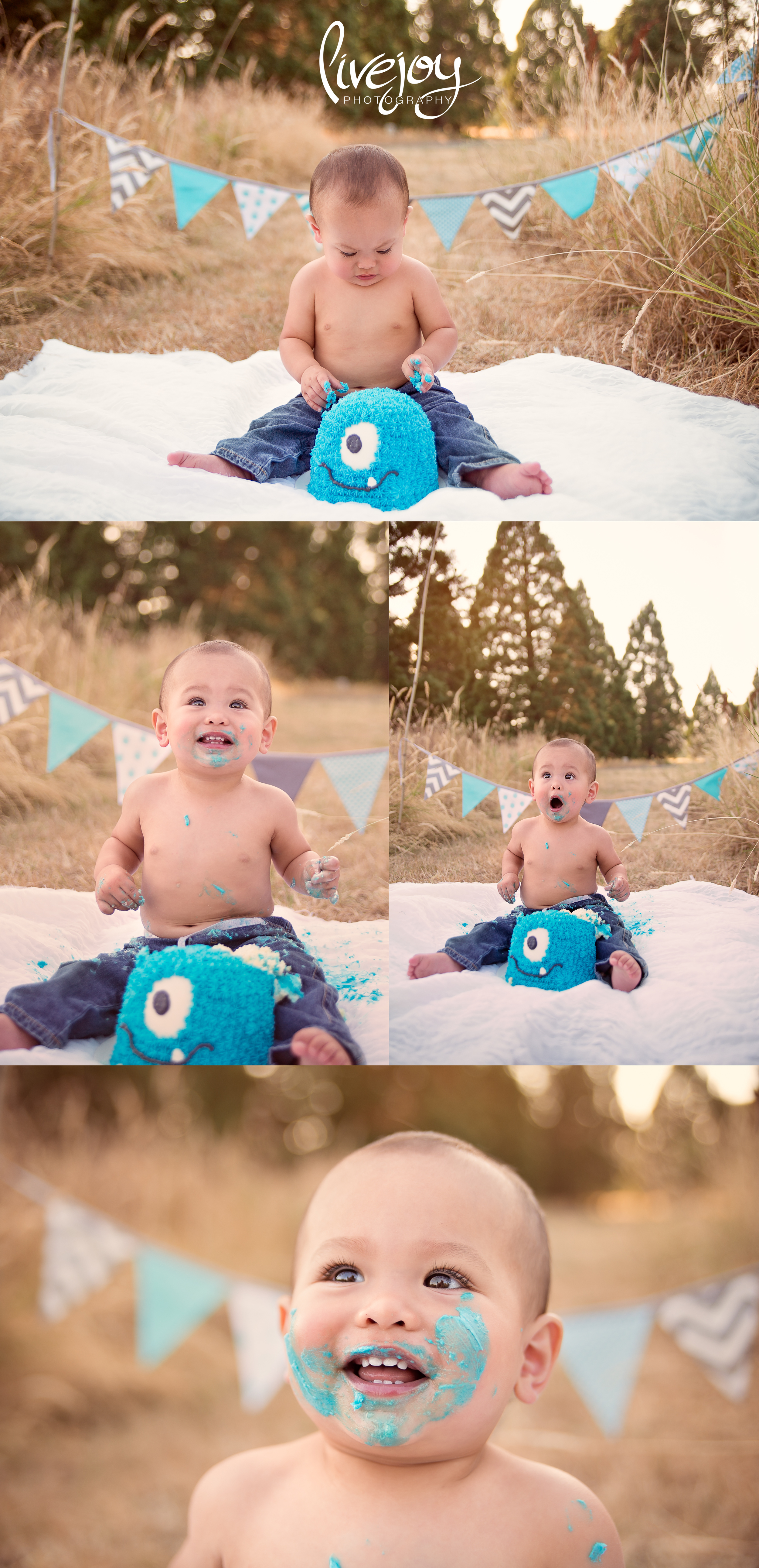 One Year Baby Boy Cake Smash | Salem, Oregon | LiveJoy Photography